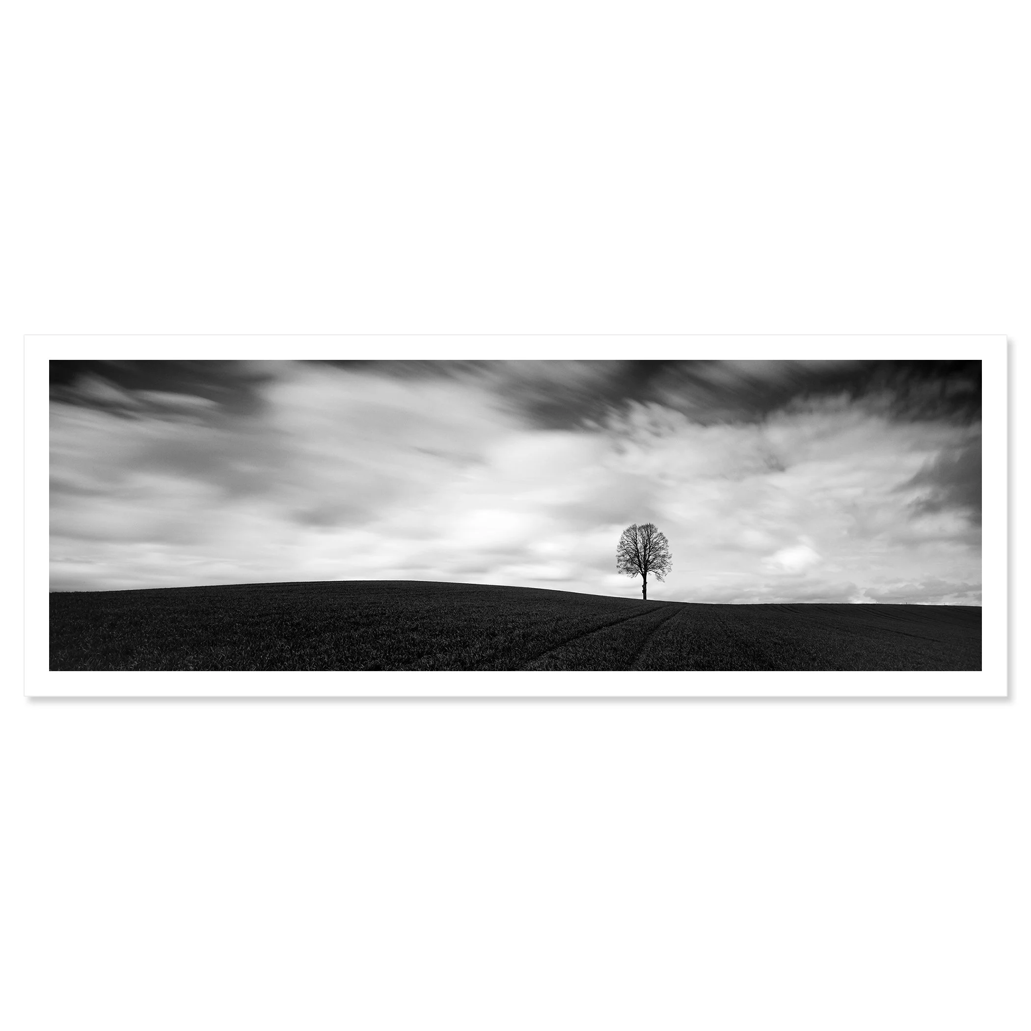 Farmland Panorama Study 1 shown as an archival pigment print with white border by Gerald Berghammer.