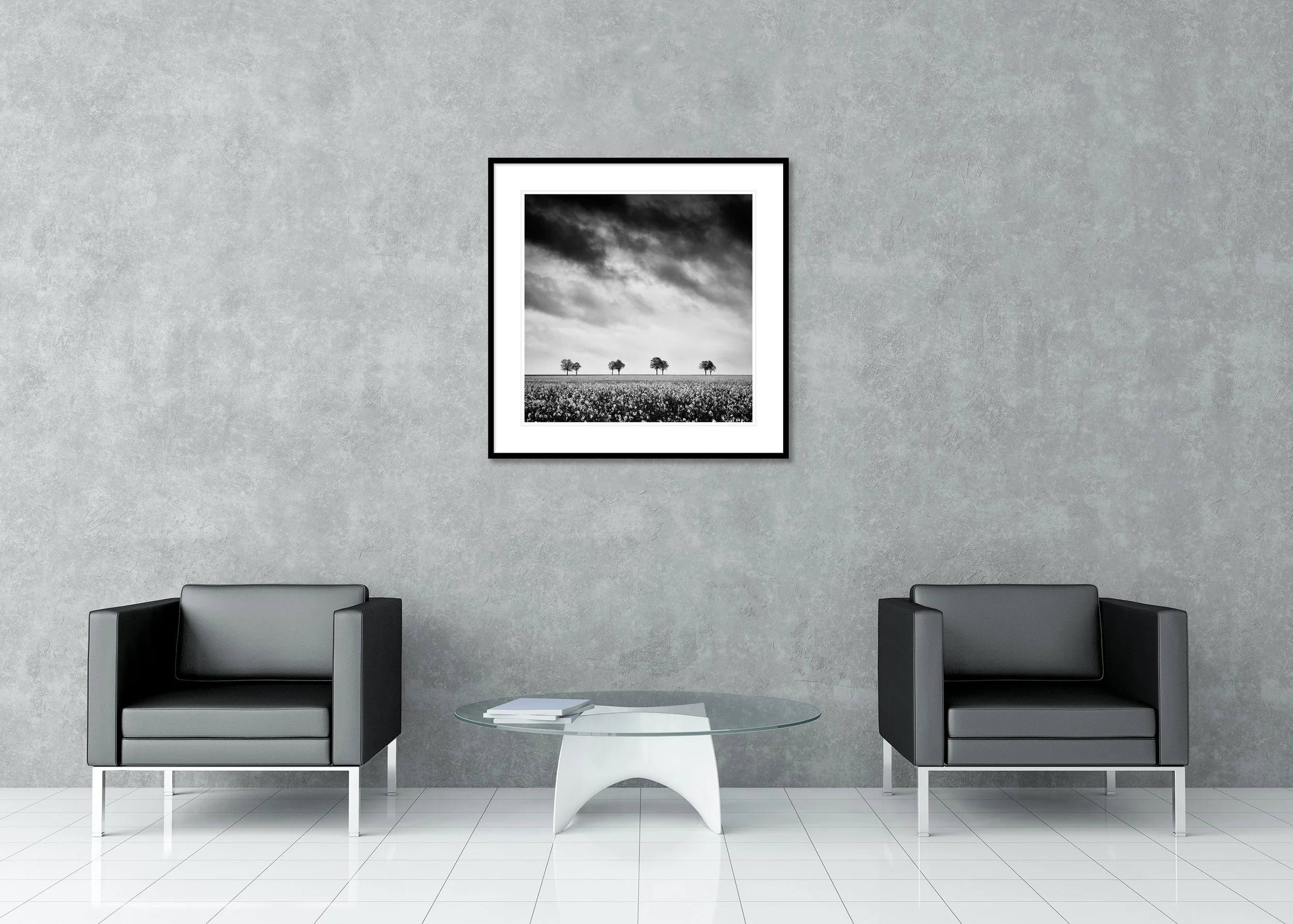Dramatic monochrome field with flowering plants, bare trees and dark clouds, archival pigment print in a classic frame with a mount