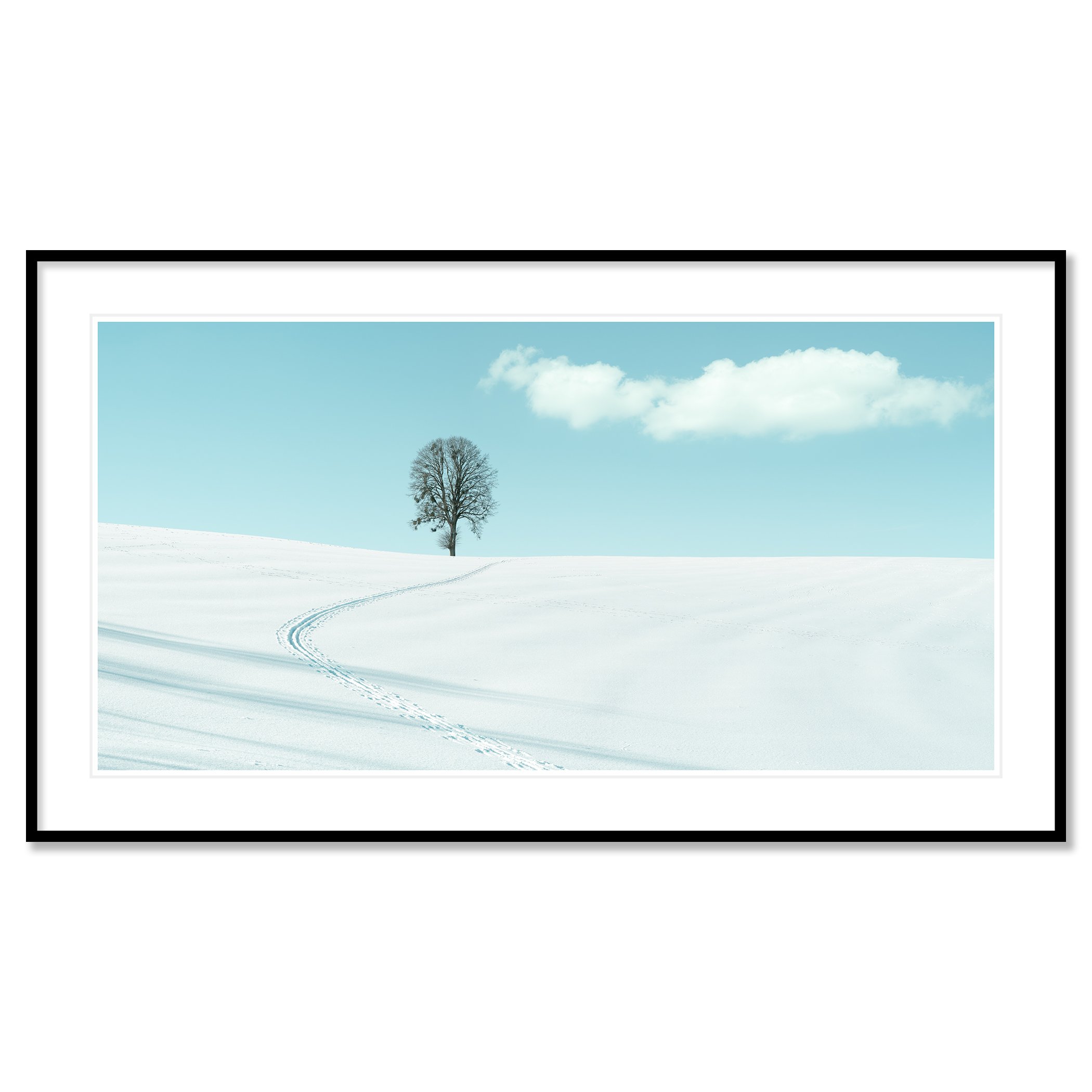 Winter Path to the Lone Tree – Austria, colour pigment print in a black aluminium frame with white mount.