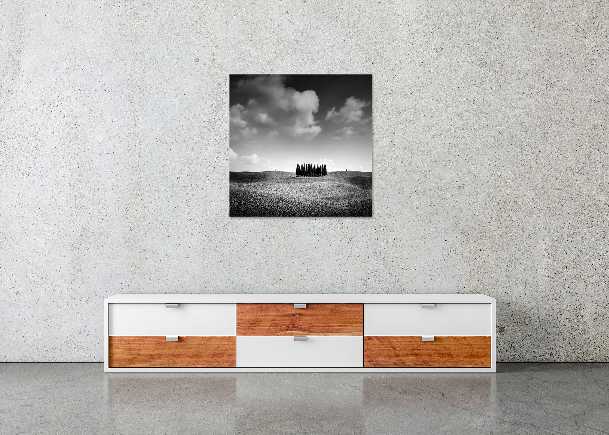 Cypress Hill, Study 1 – frameless black-and-white photograph on aluminium Dibond displayed above a low cabinet.