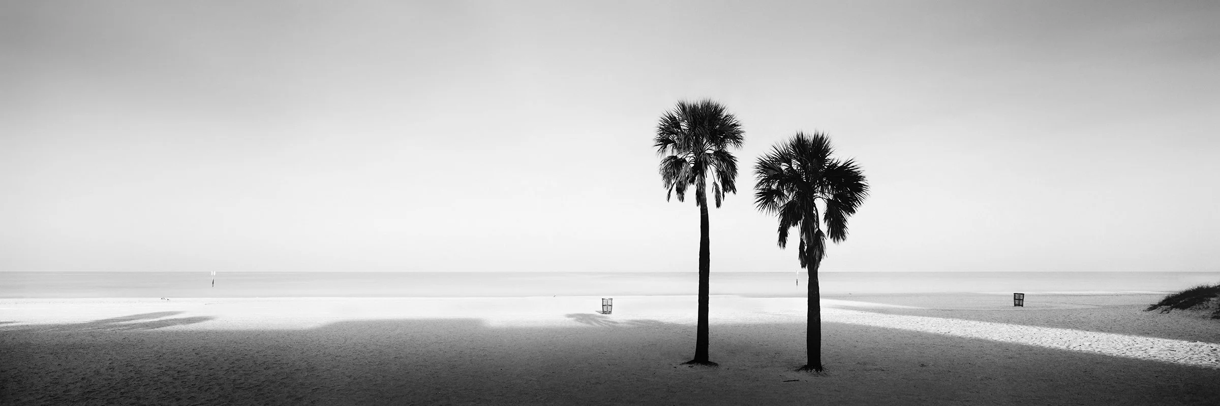 Two Palms Study 1 by Gerald Berghammer, analogue black-and-white fine art photograph of two palm trees on a quiet beach in Florida, USA.