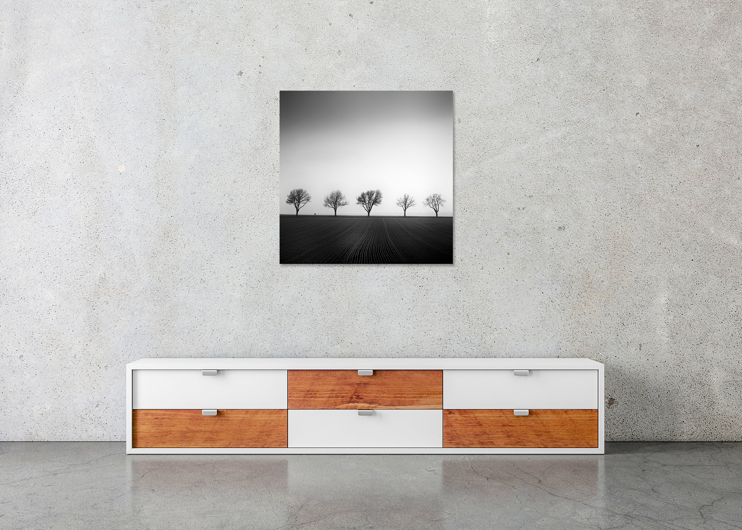 Cherry Tree Avenue, Study 1 – archival pigment print in an aluminium frame with a white mount displayed in a modern interior. Photo by Gerald Berghammer.