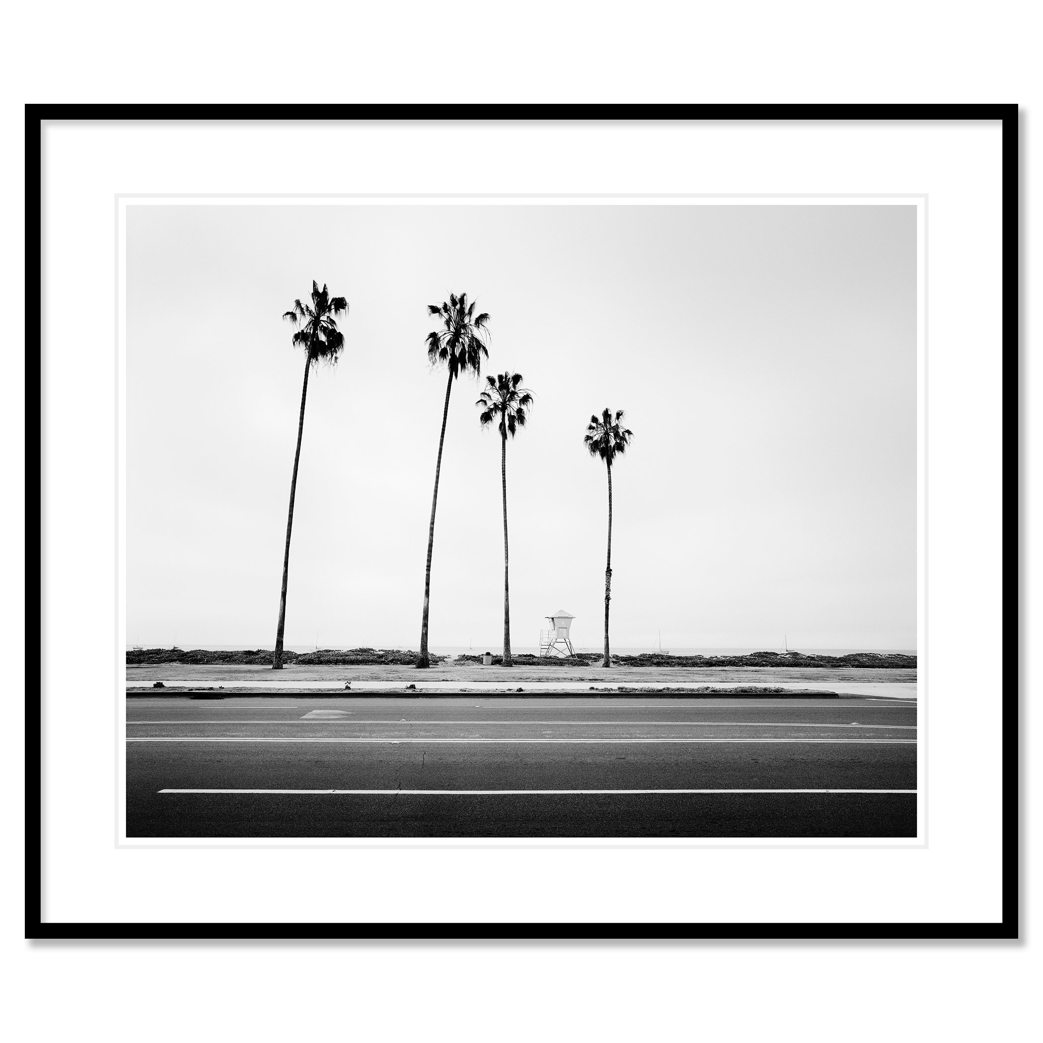 Palm Tree Study 4 presented as an archival pigment print in a black aluminium frame with a white mount by Gerald Berghammer.
