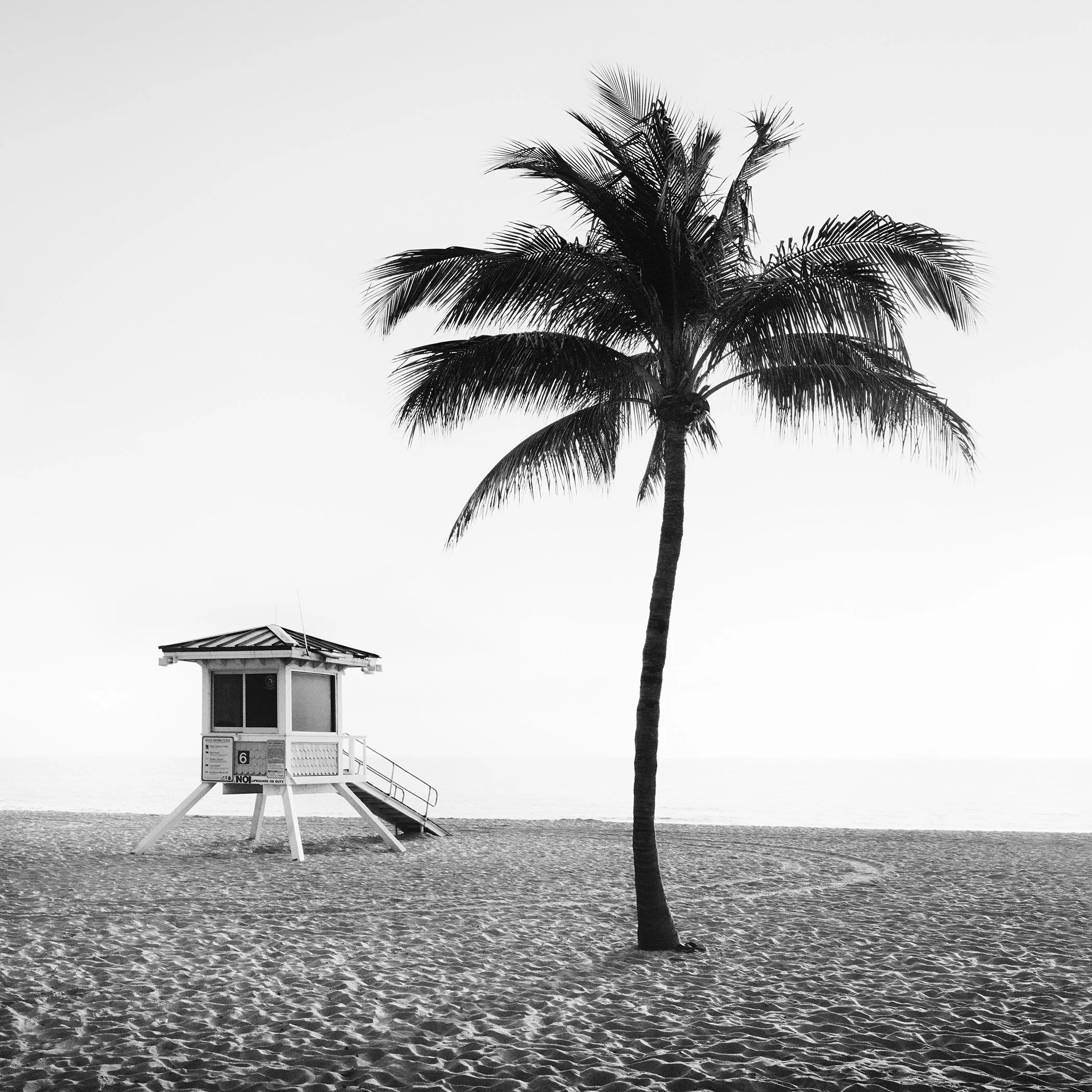 Black-and-white photograph of a palm tree and lifeguard tower on Fort Lauderdale Beach, Florida, by Gerald Berghammer.