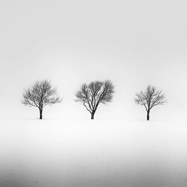 Three leafless trees in a snowy landscape, minimalist black-and-white fine art photograph by Gerald Berghammer.