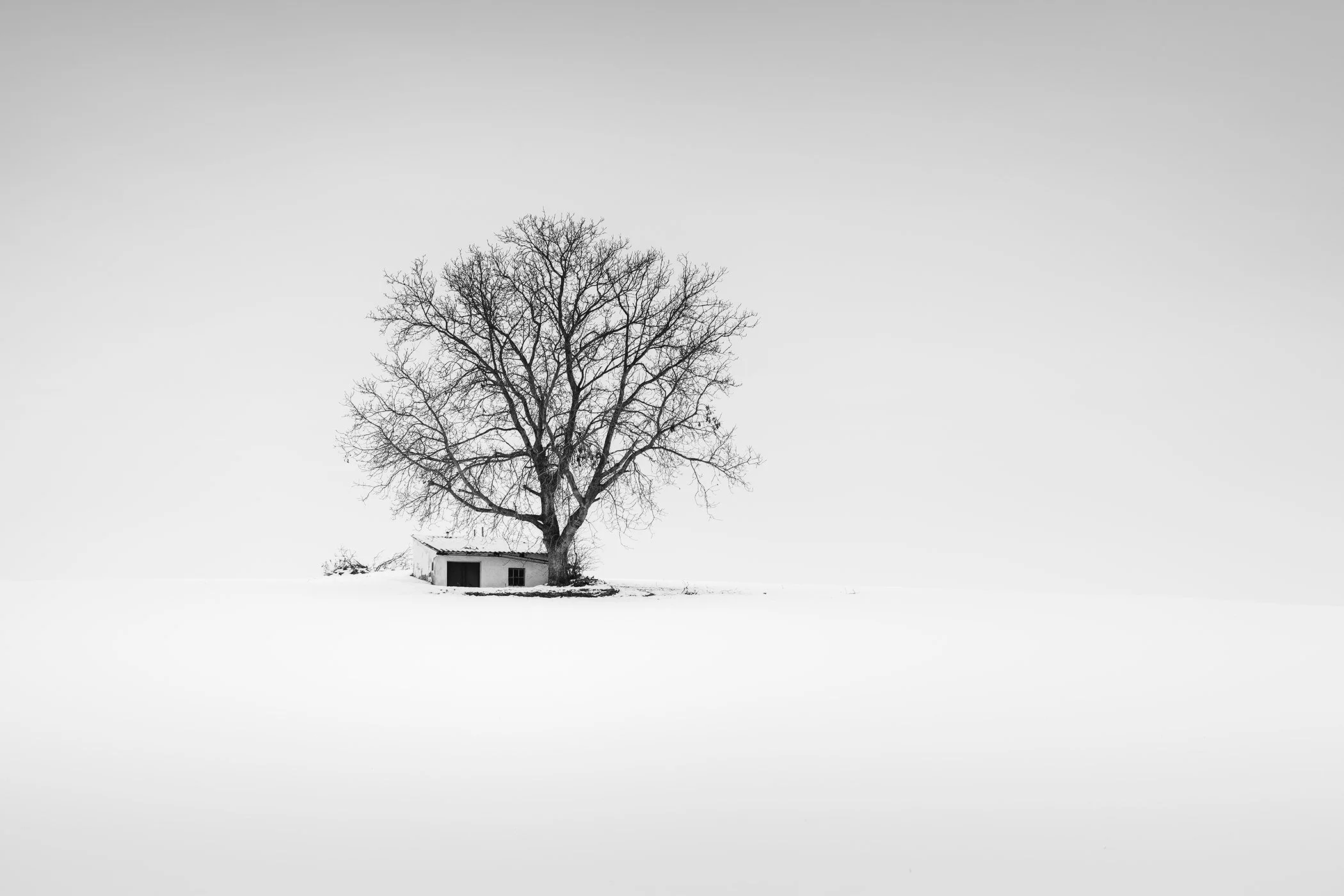 Wine press house on snowy winter farmland in Austria, minimalist monochrome landscape photo