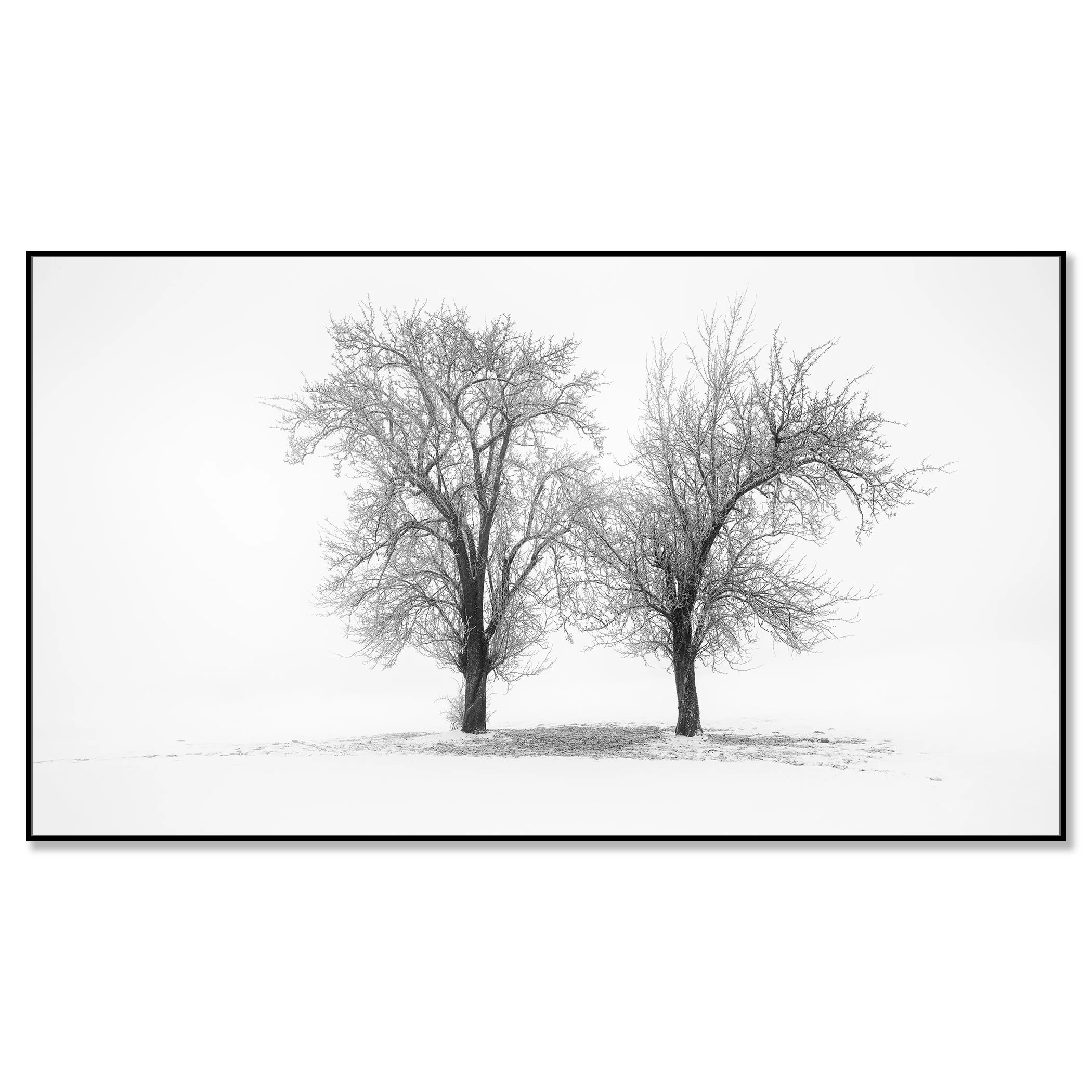 Still Winter Morning Study 1 – Austria in a black aluminium ArtBox frame