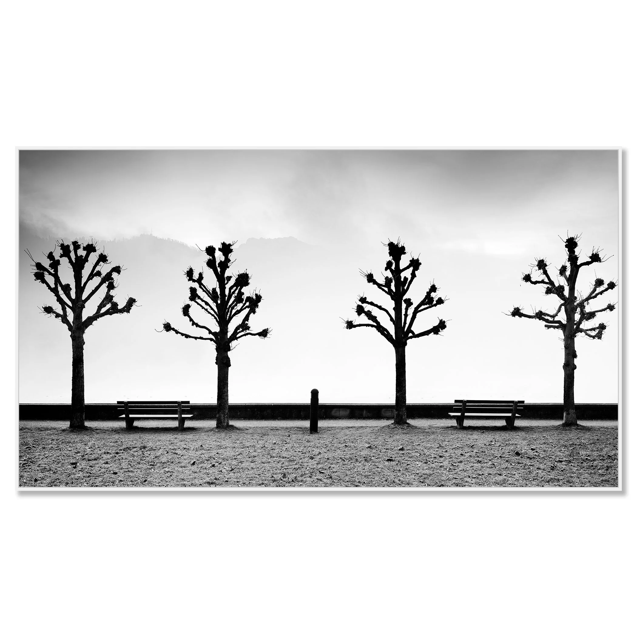 Minimal black and white scene of chestnut trees and benches on the shore of Lake Traunsee in Austria – framed ArtBox white