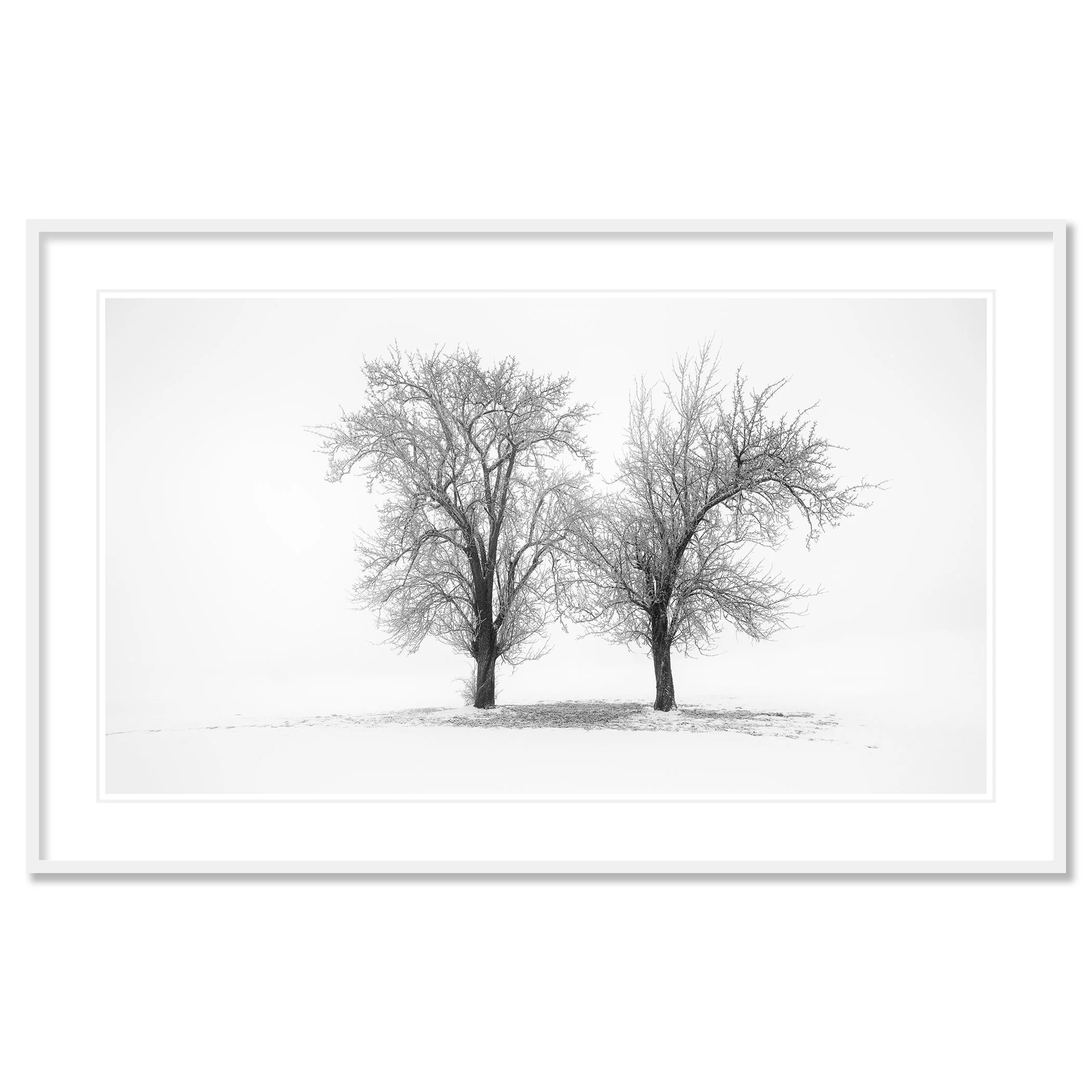 Still Winter Morning Study 1 by Gerald Berghammer in a white aluminium frame with a white museum-quality mount.