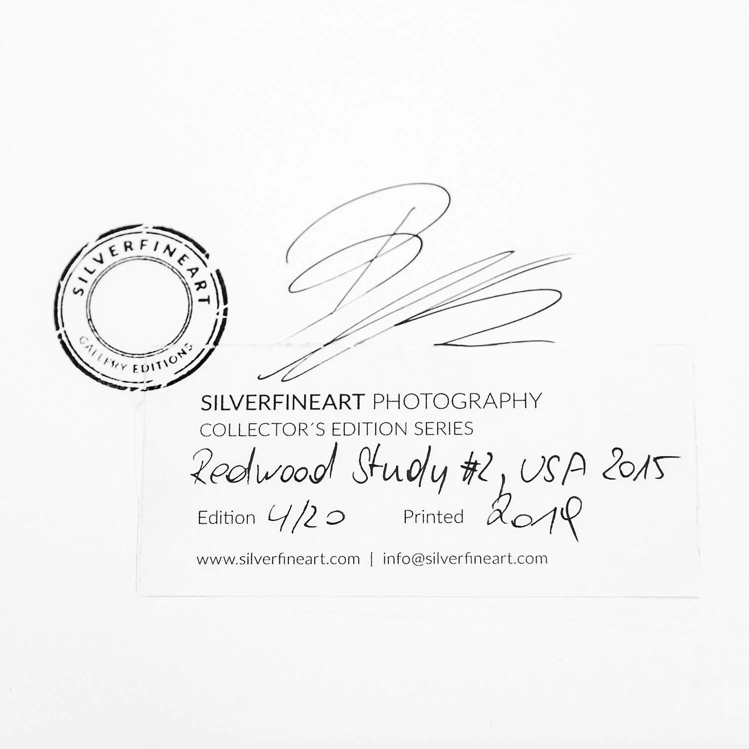 Signed SILVERFINEART edition label for Redwood Study 2 by Gerald Berghammer, edition 4/20, printed in 2019.