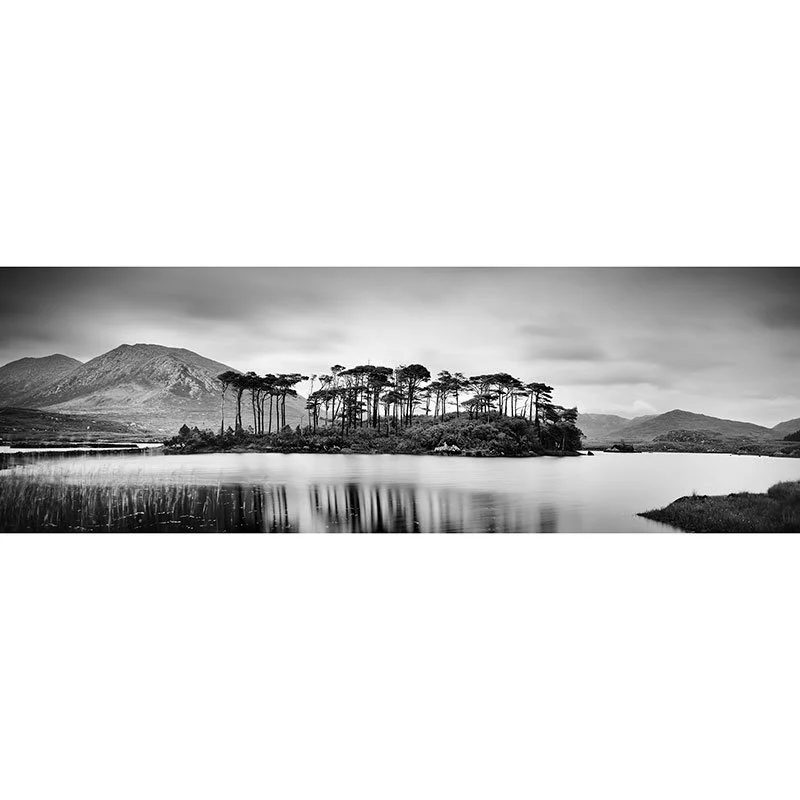 Gerald Berghammer - Tree Island Panorama, Ireland