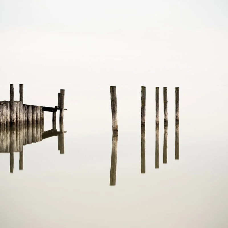 Wooden Pegs in the Lake – Austria | Gerald Berghammer