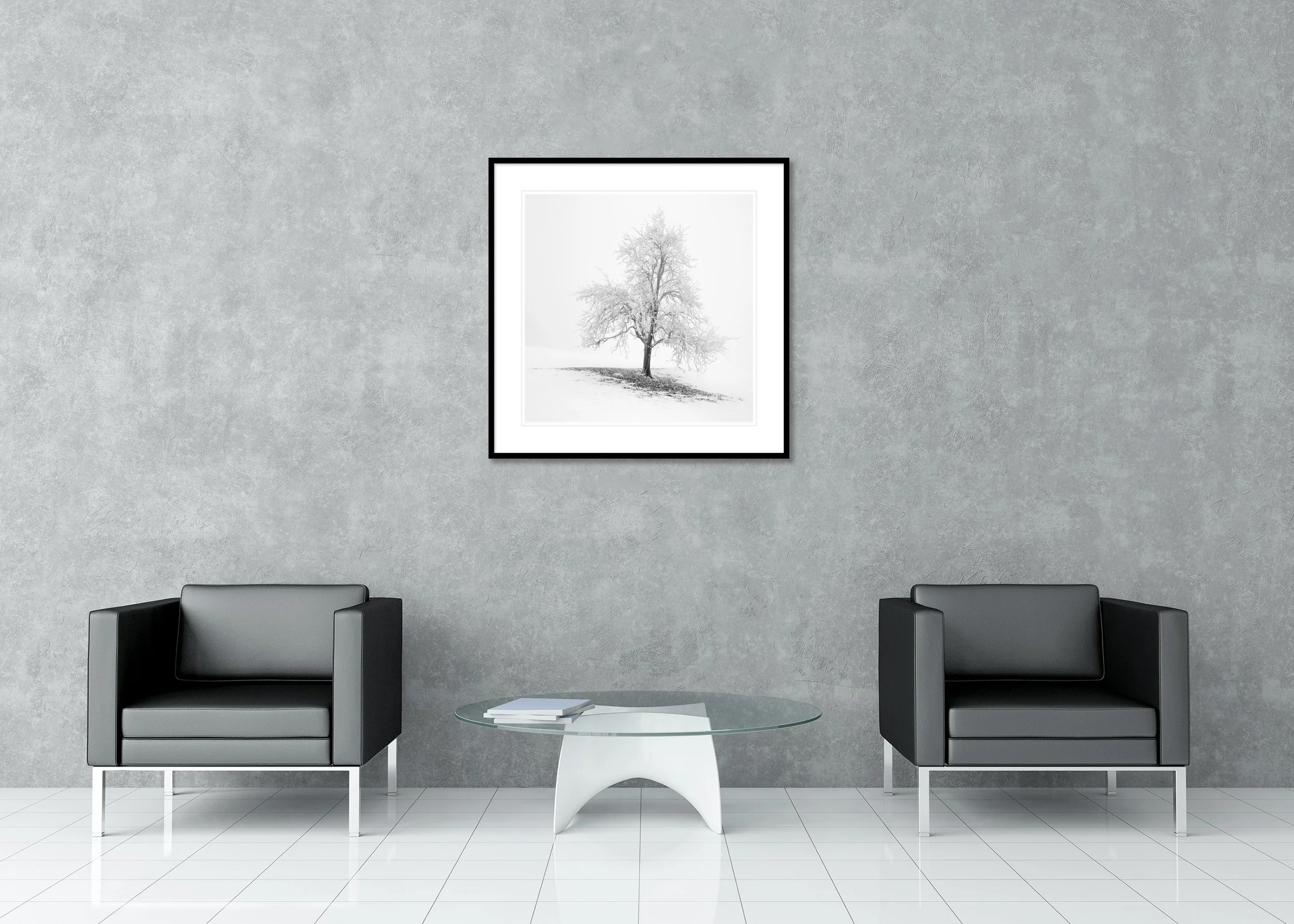Frosted Winter Tree – Austria displayed as a framed black-and-white pigment print with a white mount