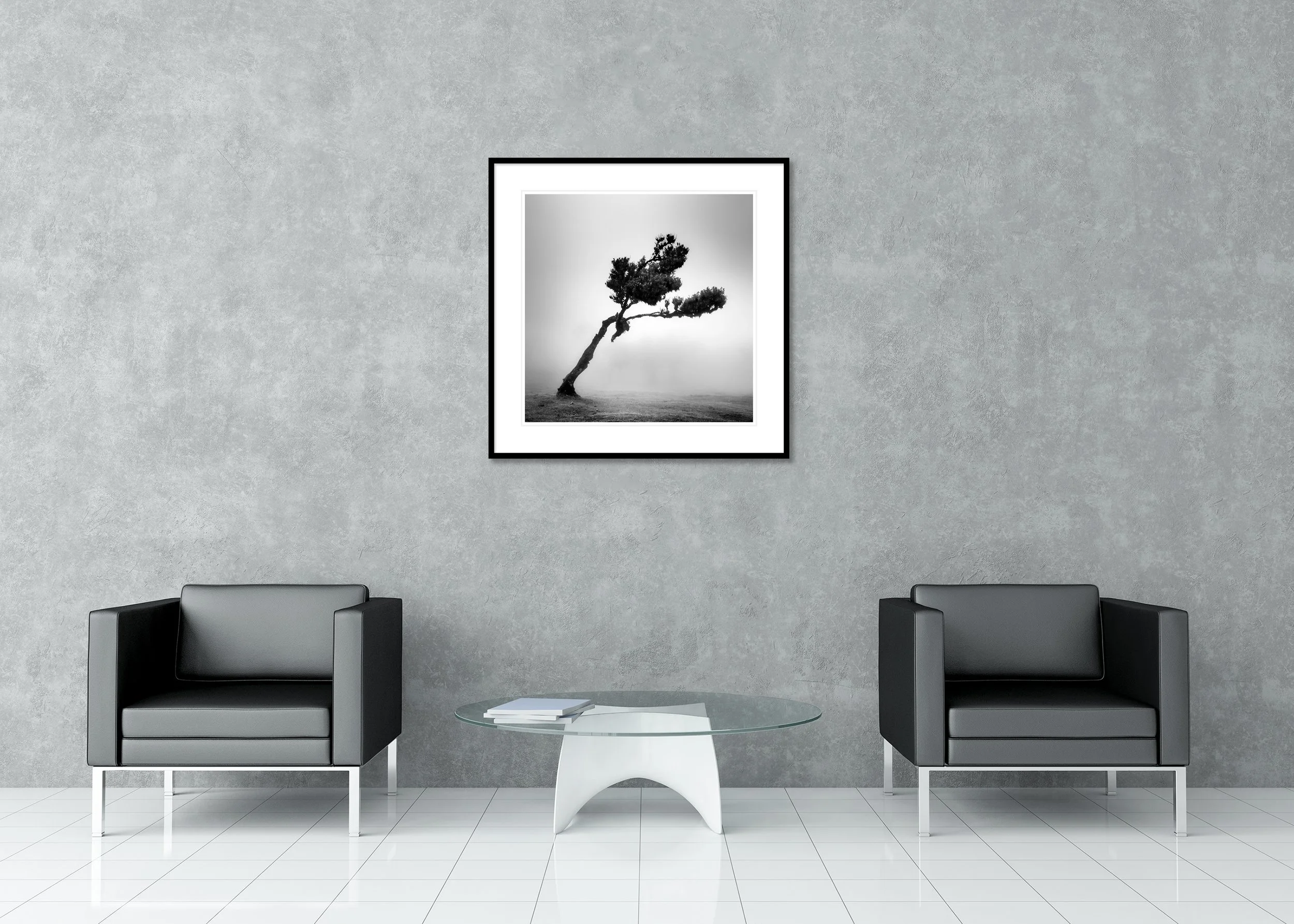 Deer in Fairy Forest Study 1 displayed in a minimalist interior as a frameless black-and-white photographic print on aluminium Dibond by Gerald Berghammer.