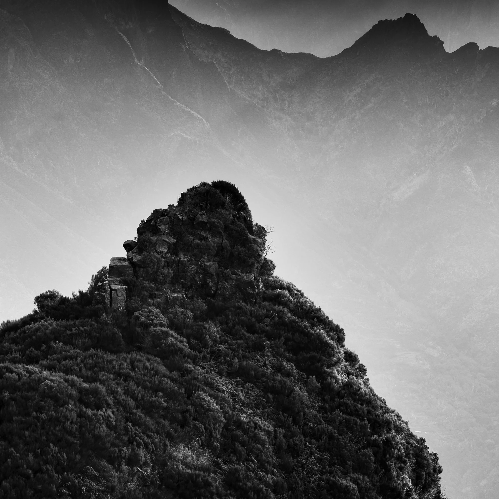 Detail view of Morning Light in the Mountains Study 3 by Gerald Berghammer showing the tonal detail of the Madeiran mountain landscape.