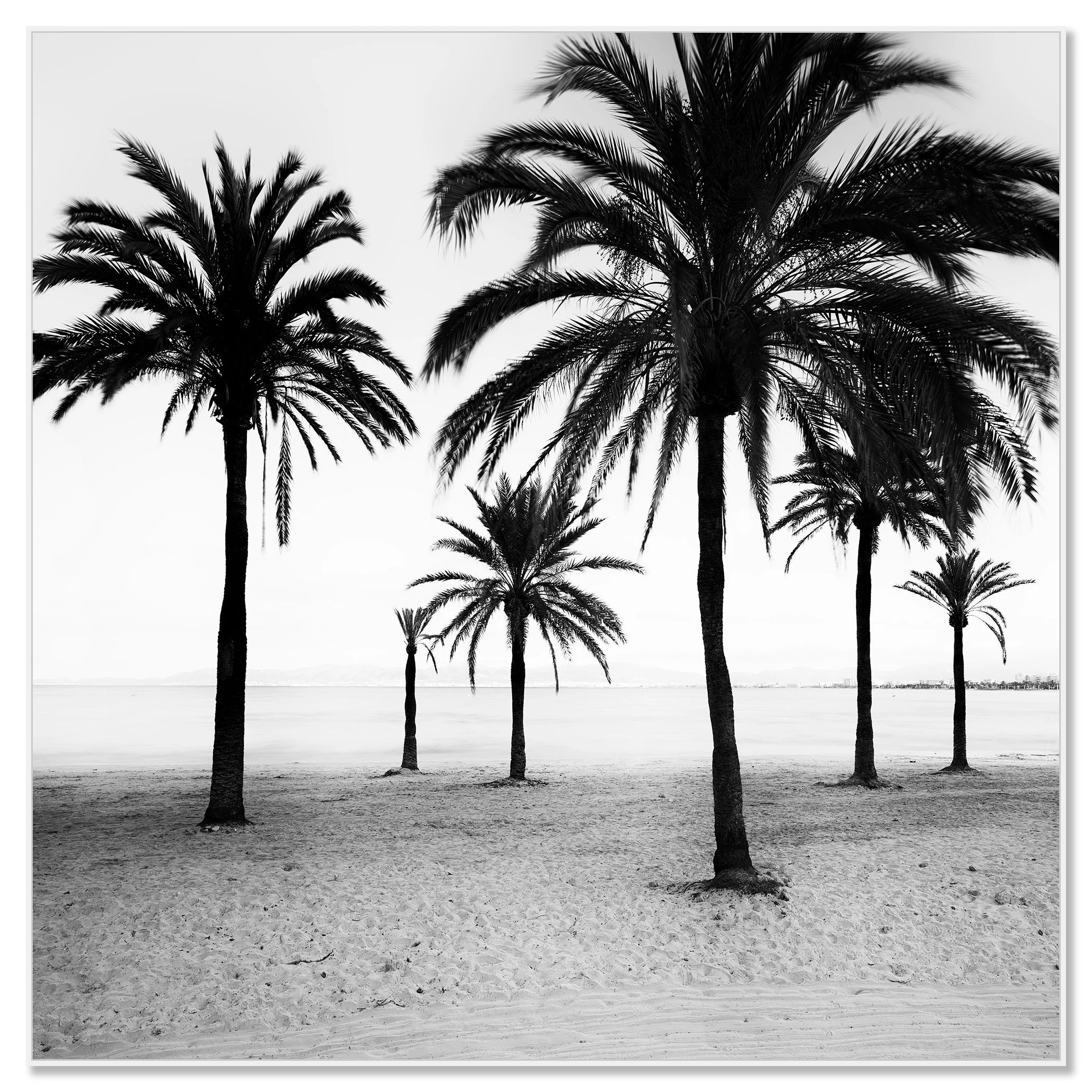 Black-and-white minimalist photo of palm trees lining a quiet beach shoreline, with the ocean stretching into the background – framed ArtBox white