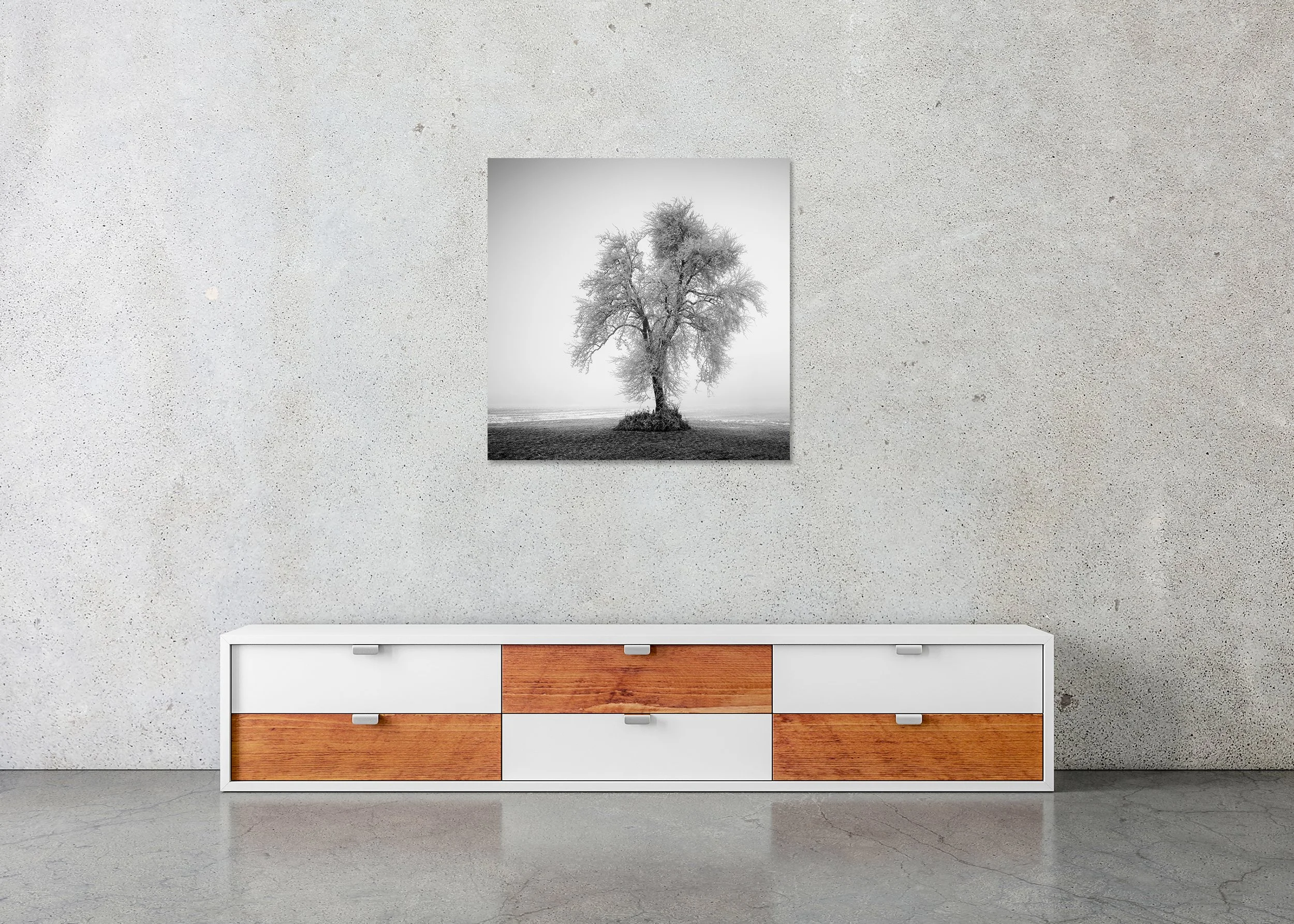 Bare frost-covered tree in a foggy winter field, black-and-white nature photograph, ChromaLuxe metal print, frameless