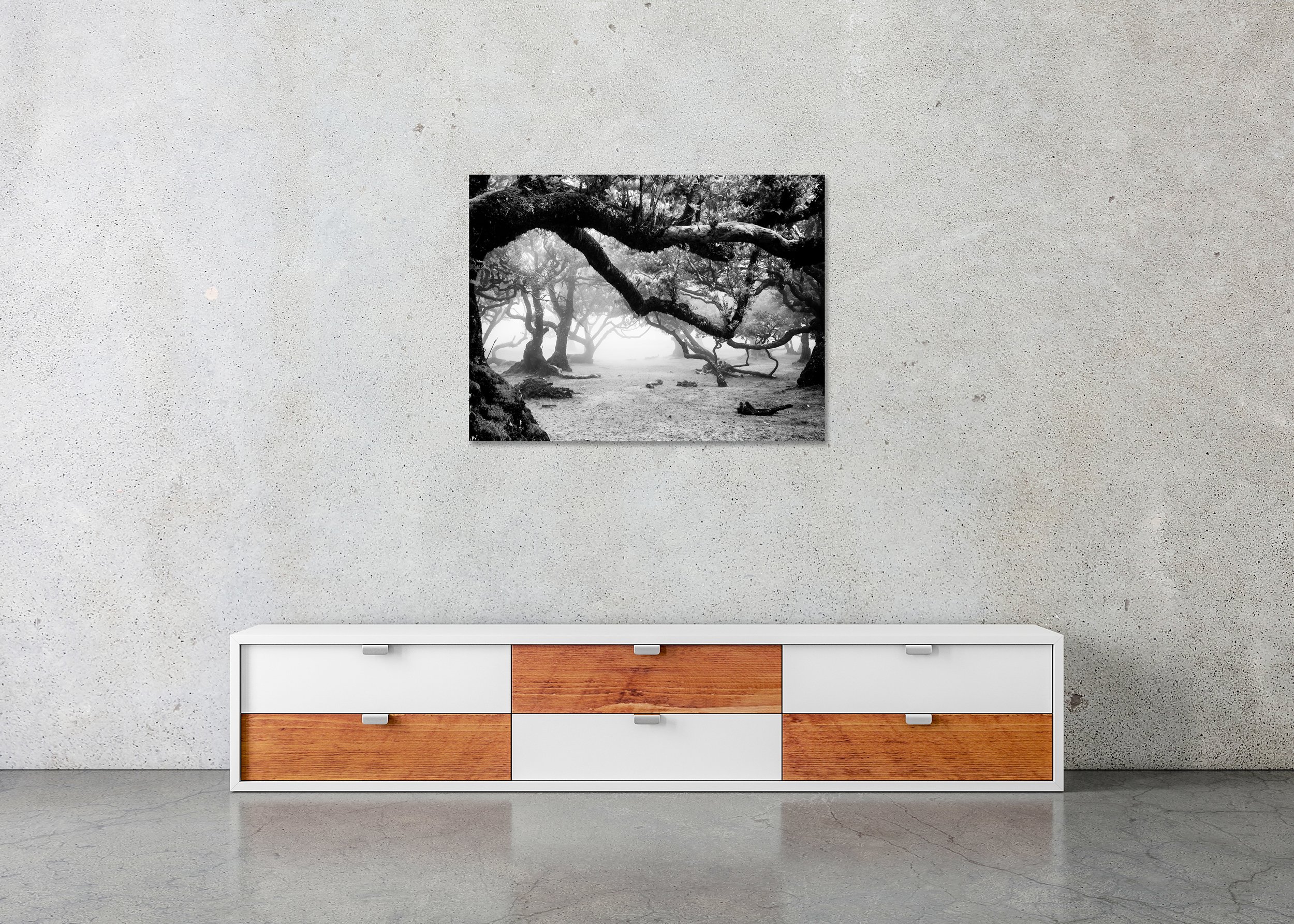 Foggy woodland scene with gnarled tree branches in monochrome, photo print mounted to Dibond, frameless.