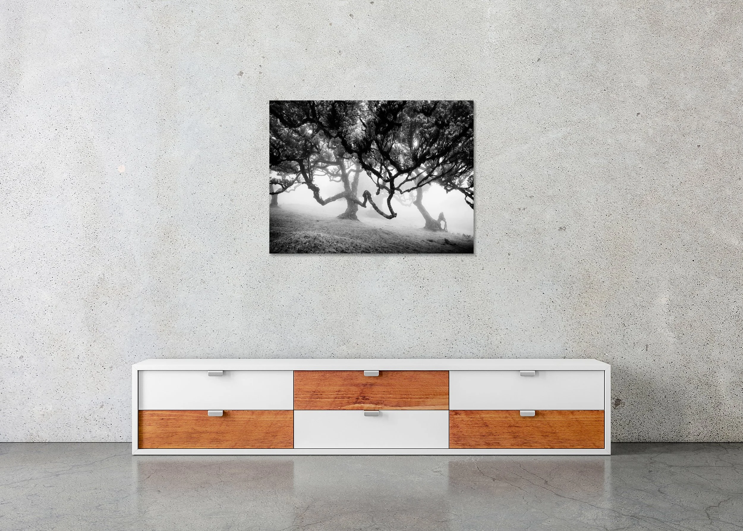 Abstract black and white photo of bent trees in a dense misty forest, mounted as a frameless photo print on Dibond.