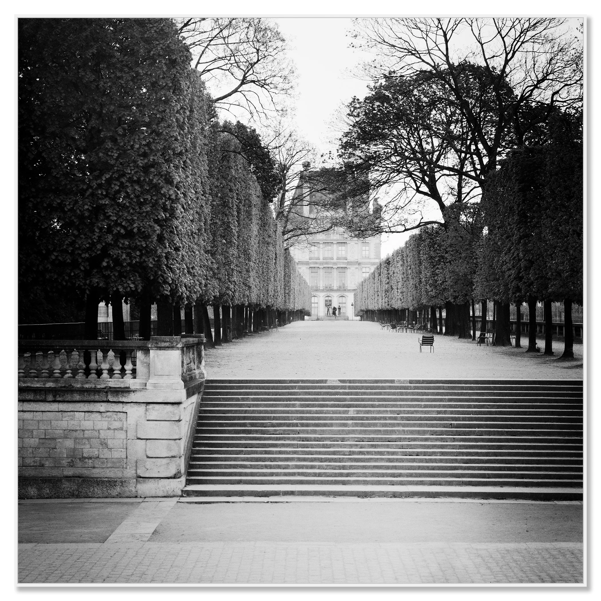 Black and white view of a tree-lined pathway and stone steps leading towards the Pavillon de Flore in Paris – framed ArtBox white