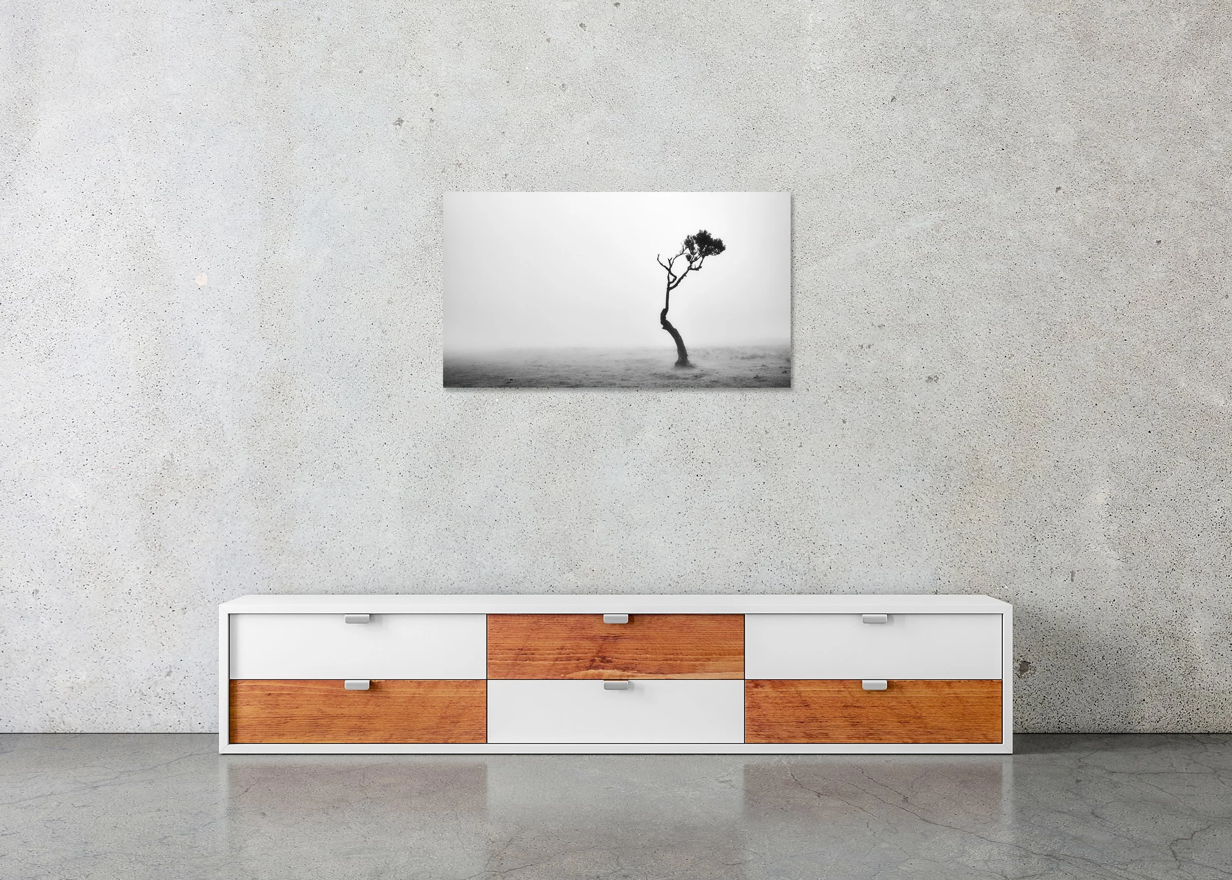 Lonely Tree in the Fog by Gerald Berghammer, frameless black-and-white Dibond print displayed in a contemporary interior.