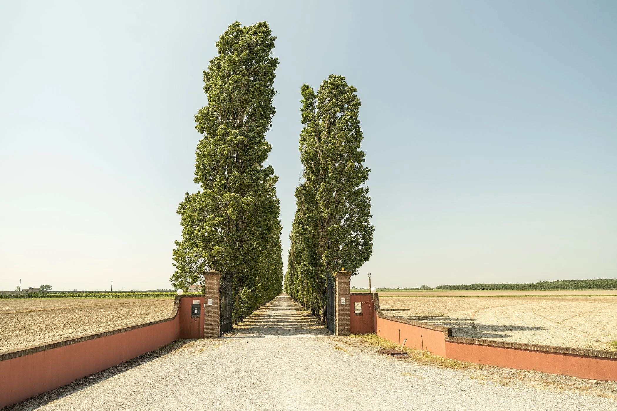 Countryside estate entrance in Tuscany with brick gate pillars, terracotta walls and a long avenue of poplar trees. Photo by Gerald Berghammer.