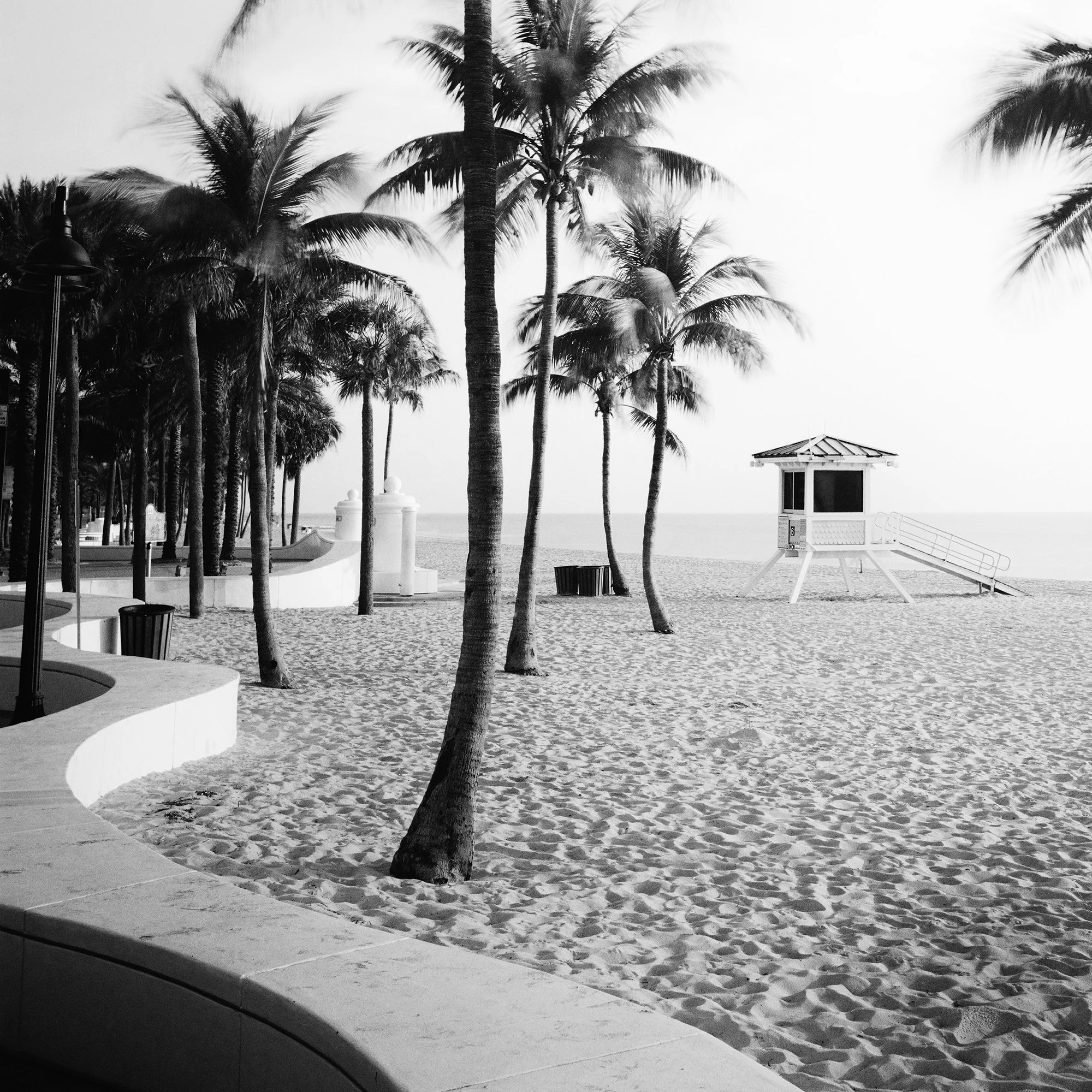 Black and white photo of a Florida beach with tall palm trees and a lifeguard tower – close-up