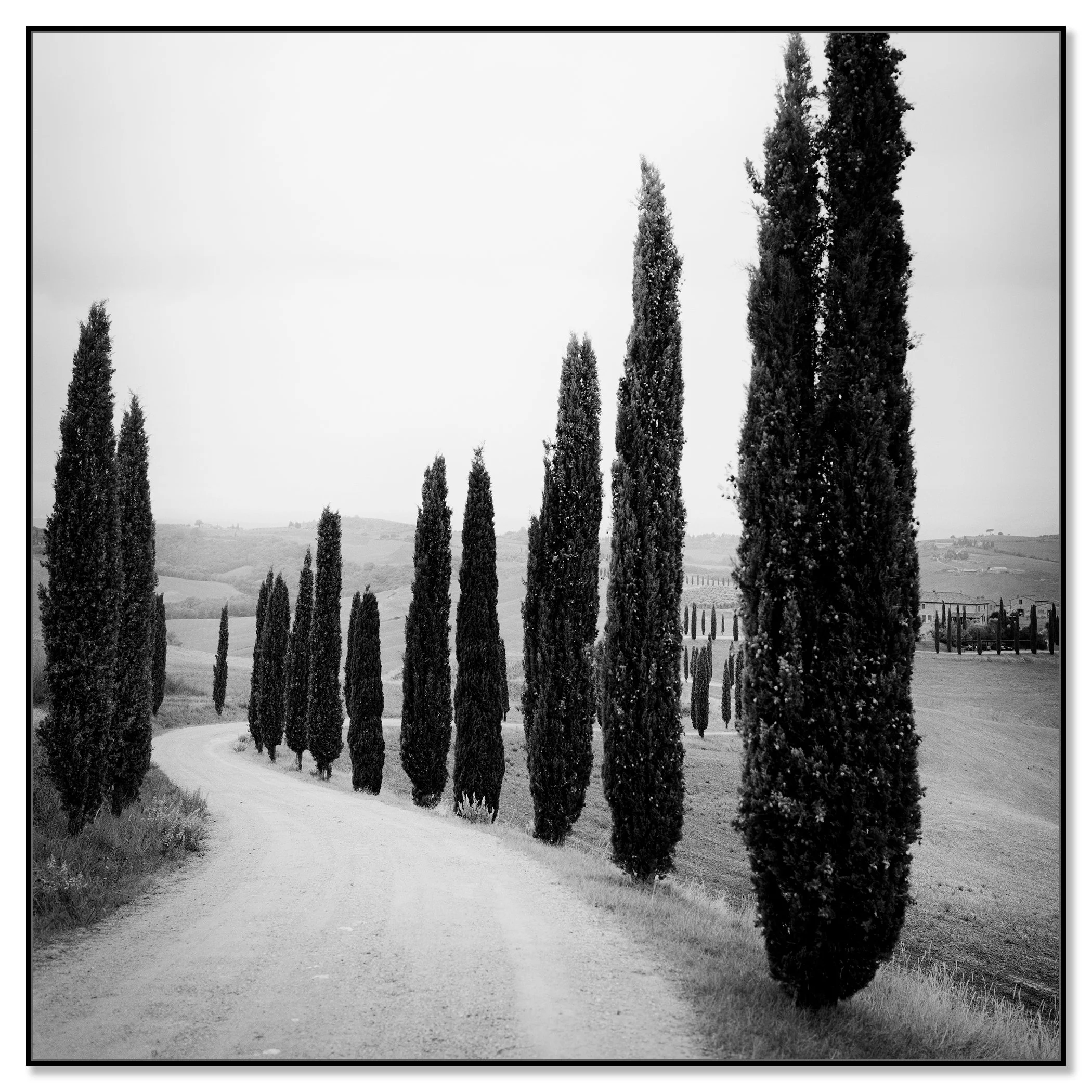 Black and white image of cypress trees along a country lane in Tuscany, Italy – framed ArtBox black