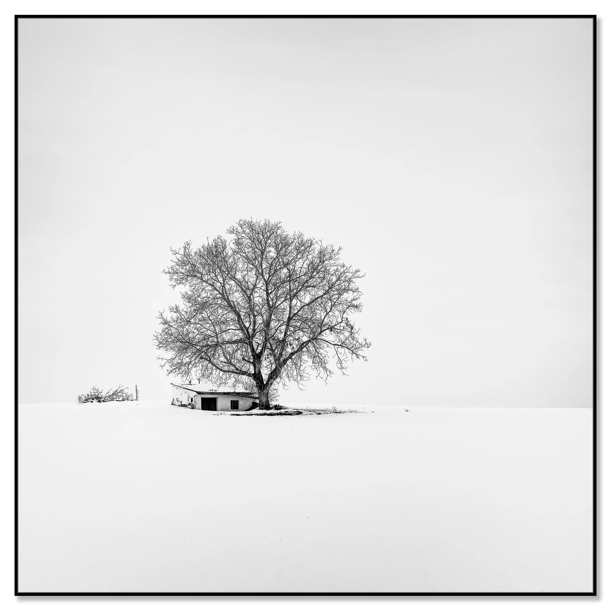 Wine Press House Winter Study 2 by Gerald Berghammer mounted on Dibond with a black aluminium ArtBox frame.