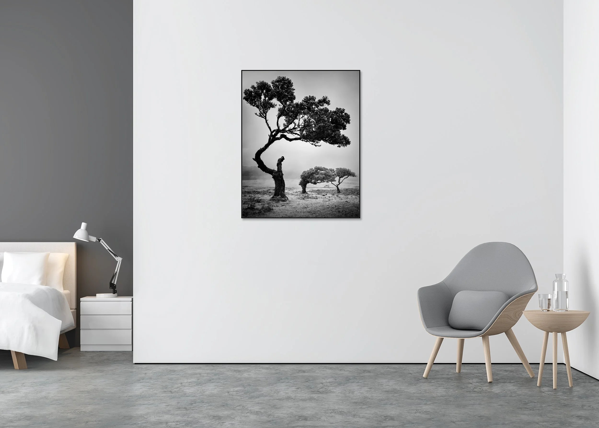 Black and white landscape photo of wind-shaped trees on Madeira Island plain, dramatic minimalist style, Dibond-mounted photo print in aluminium ArtBox.