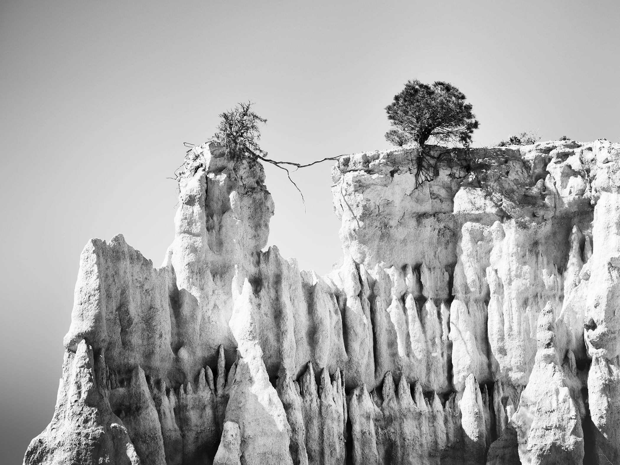 High-contrast black-and-white abstract nature photograph showing a rocky cliff with two trees, one leaning and joined by an arched branch.