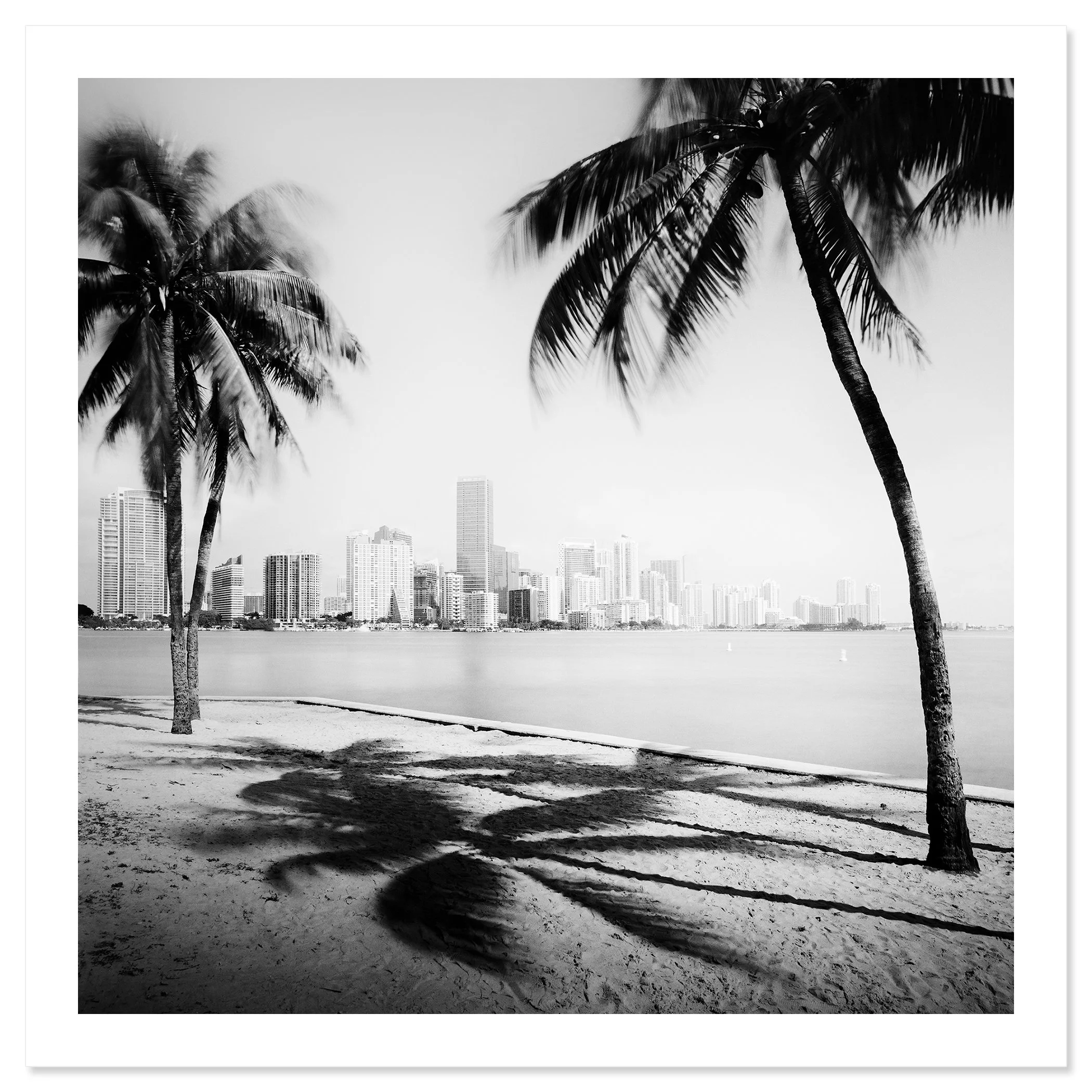 Gerald Berghammer - Black and white cityscape photography. Beach with palm trees in the foreground and the city skyline of Miami Beach in the background. Fine art print only