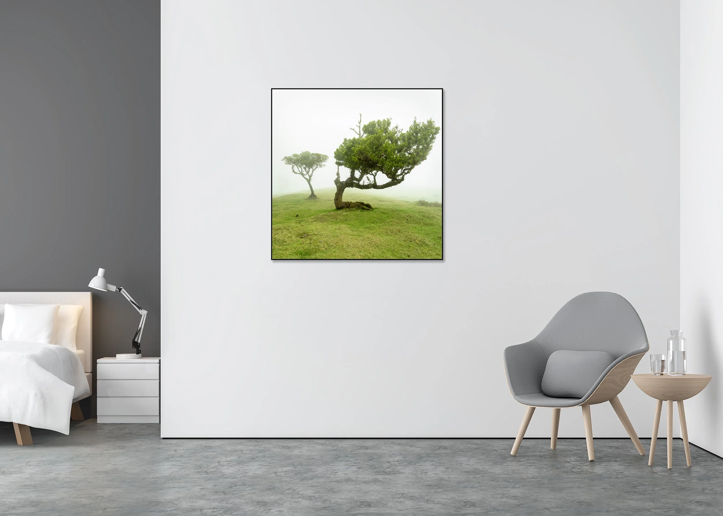 Wind-shaped trees in a misty green meadow in Madeira, emerging from fog in a serene minimalist landscape, photo print mounted to Dibond in an aluminium ArtBox