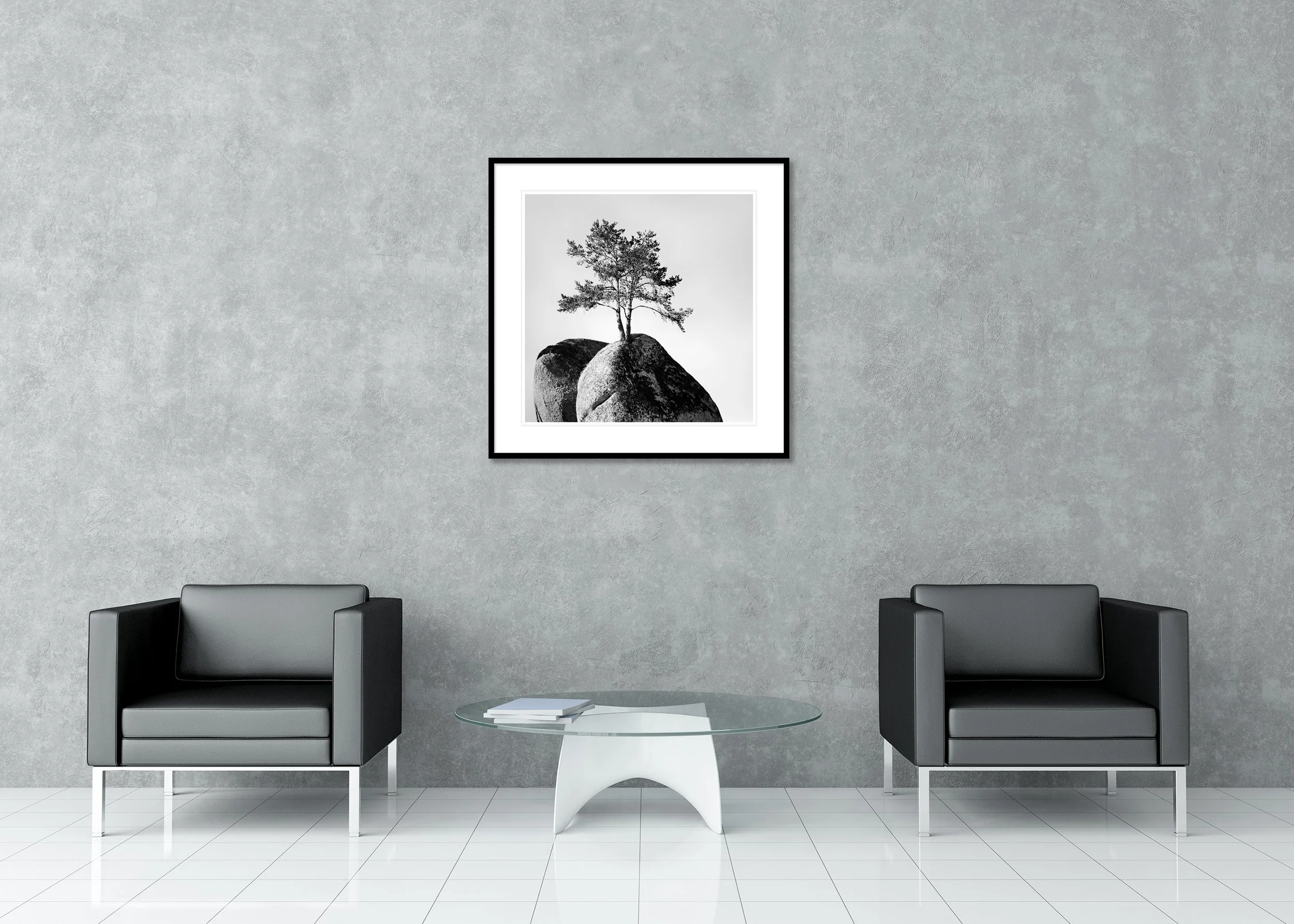 Lonely Tree on the Rock – Austria, black-and-white archival pigment print in an aluminium frame with white mount by Gerald Berghammer.