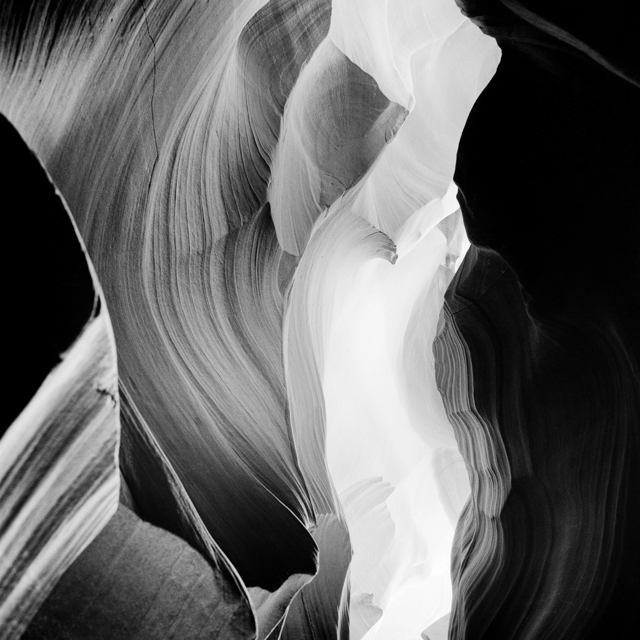 Antelope Canyon in black and white, featuring sculpted sandstone curves and dramatic light