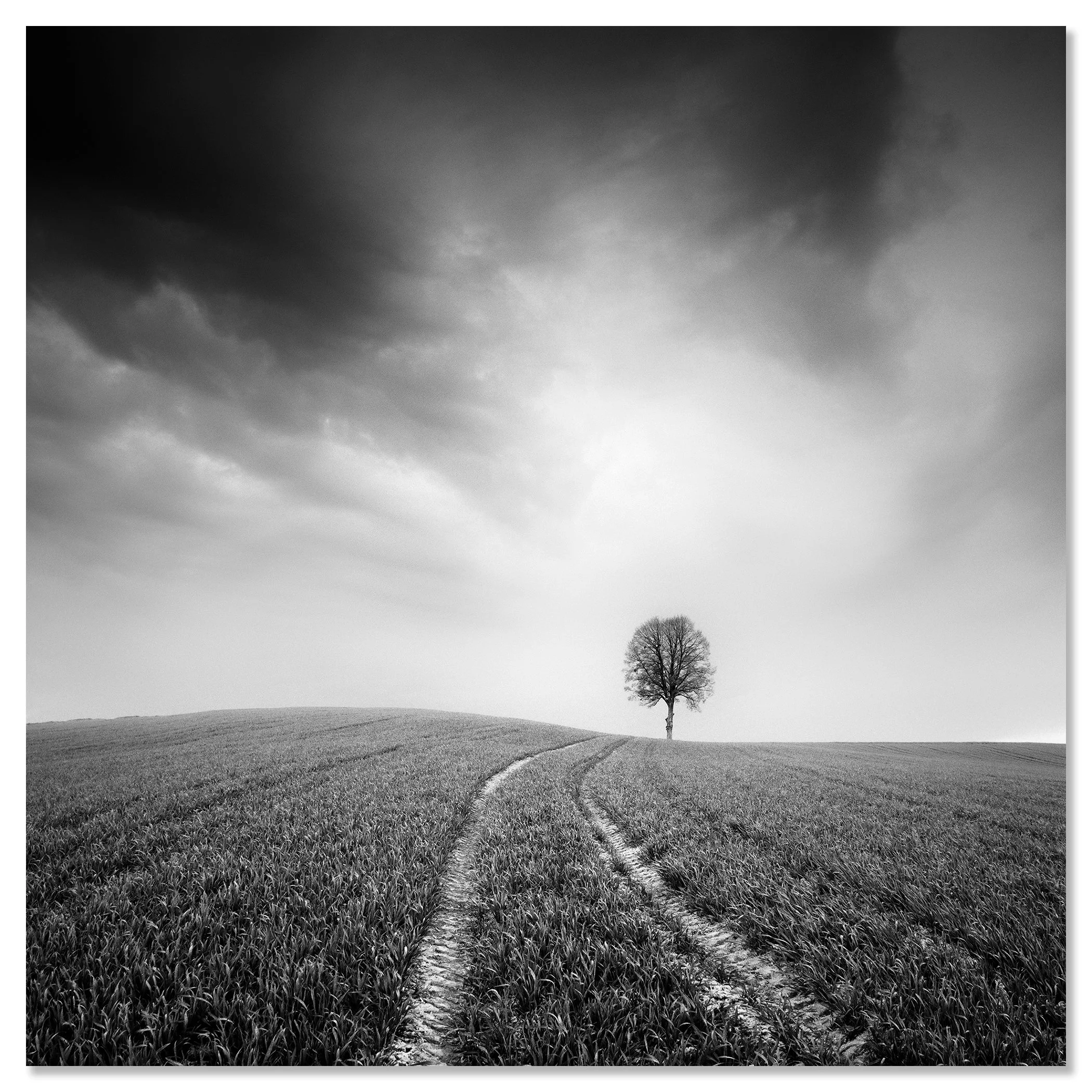 Farmland, Study 3 – Austria, black-and-white photograph mounted on aluminium Dibond, frameless. Photo by Gerald Berghammer.