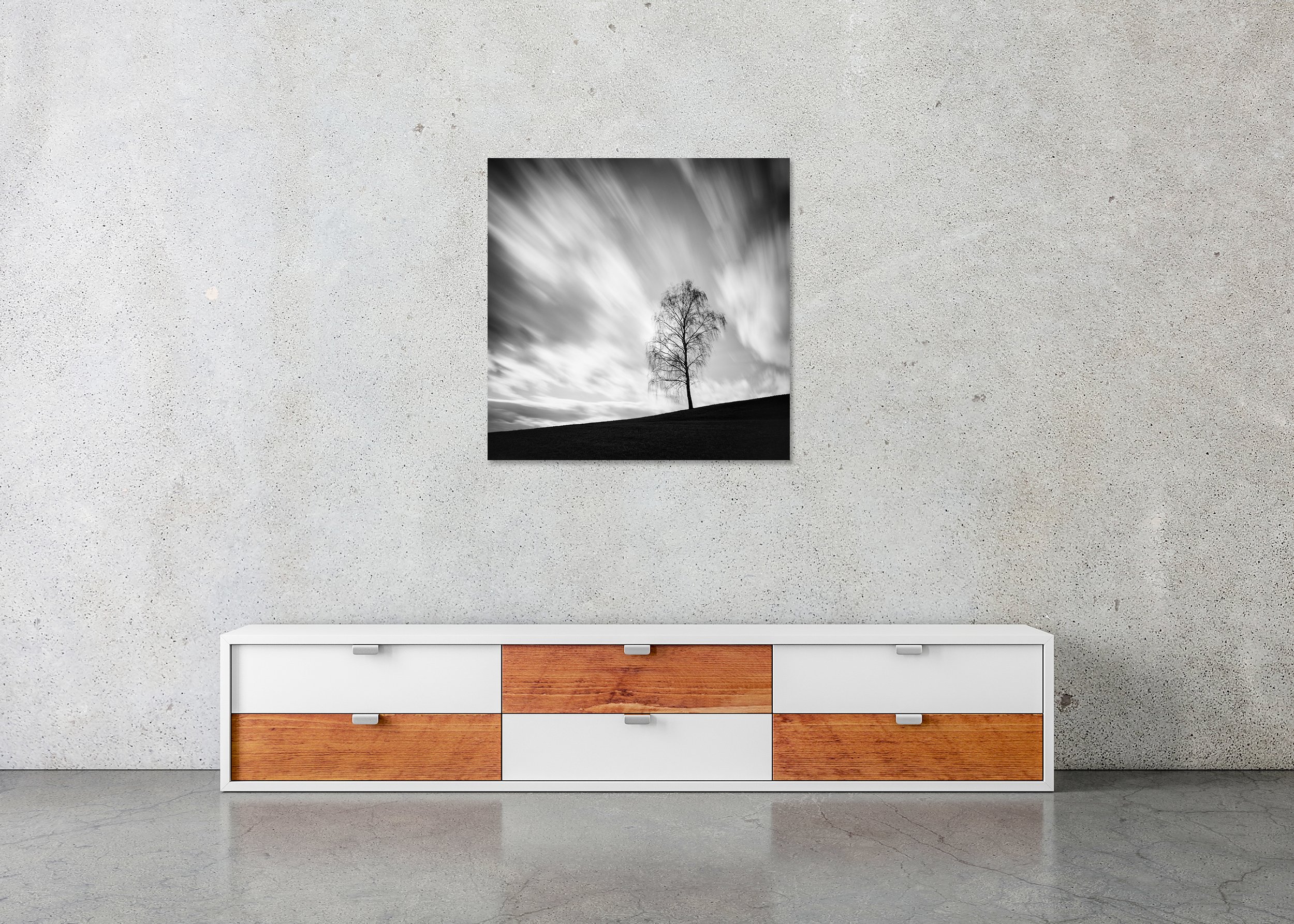 Black Birch displayed in a modern interior as a frameless black-and-white aluminium Dibond print by Gerald Berghammer.