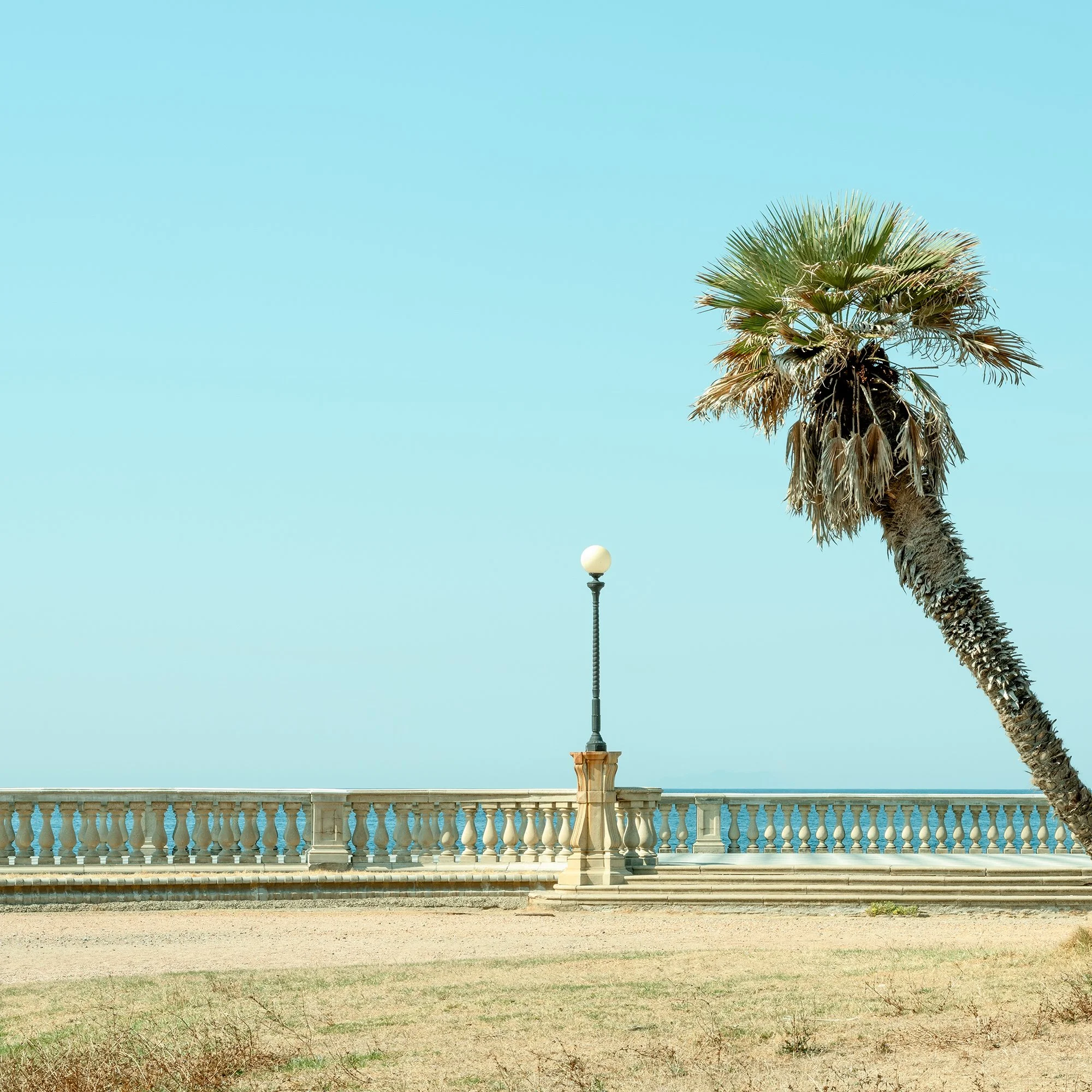 Detail of Twin Palms by the Sea – Tuscany, showing the left palm tree, balustrade and blue sky, photo by Gerald Berghammer.