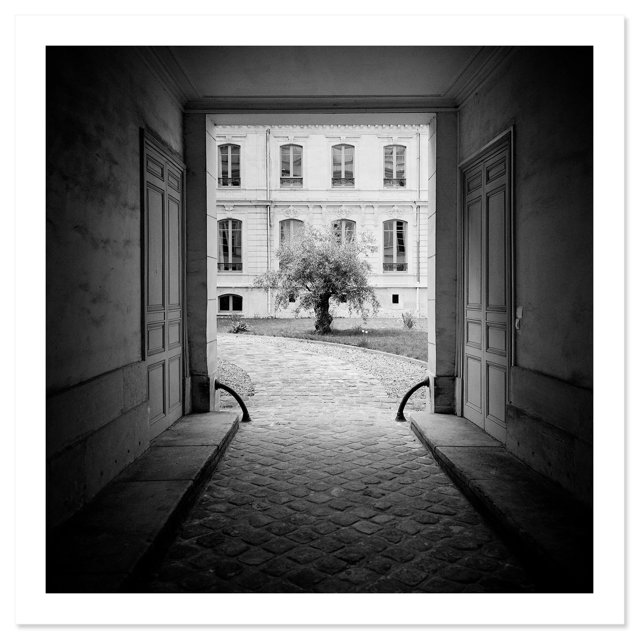 Tree in the Courtyard as an archival pigment fine art print by Gerald Berghammer.