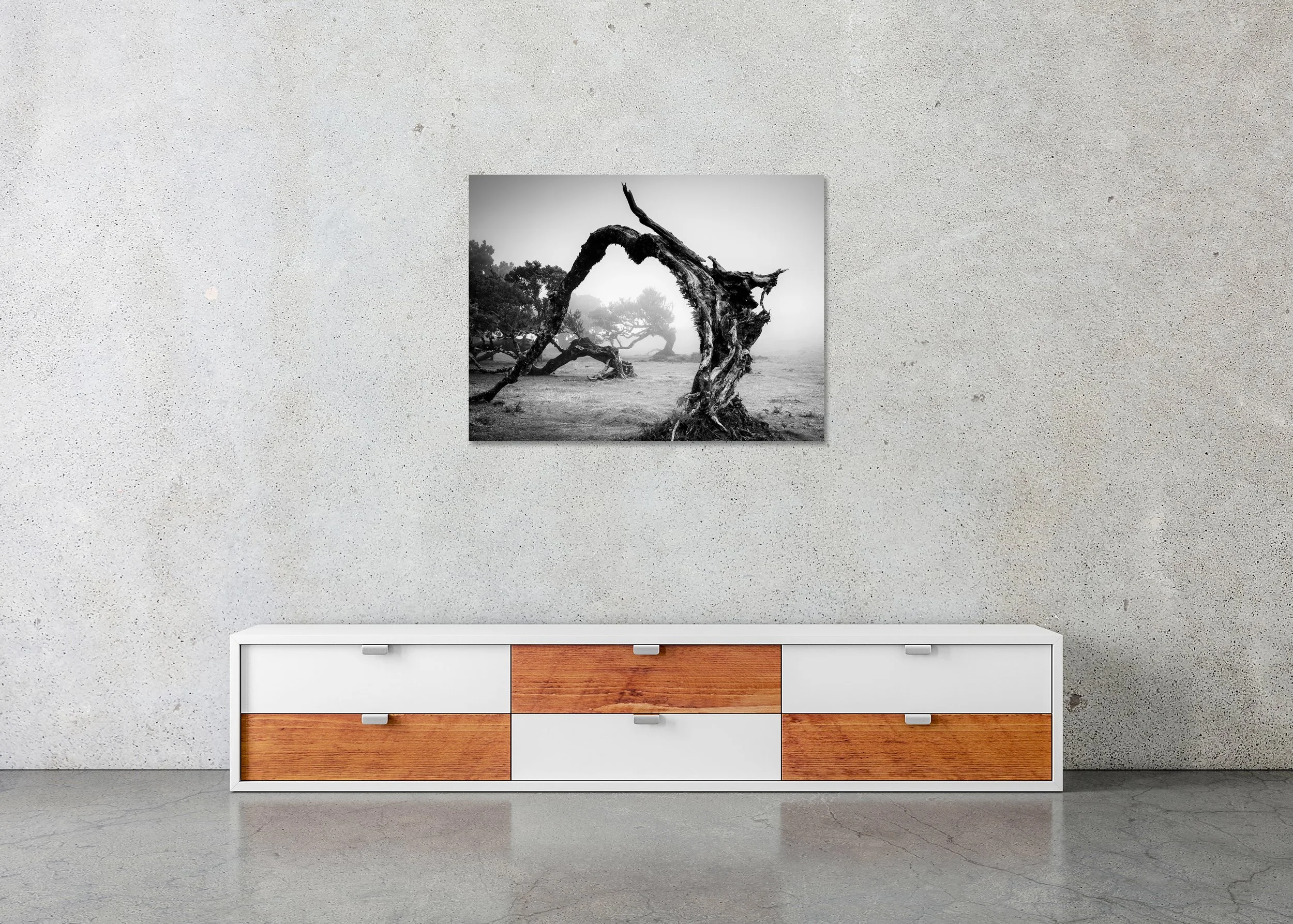 Bent Tree in the Fog Study 1 displayed above a sideboard as a frameless black-and-white aluminium Dibond print by Gerald Berghammer.