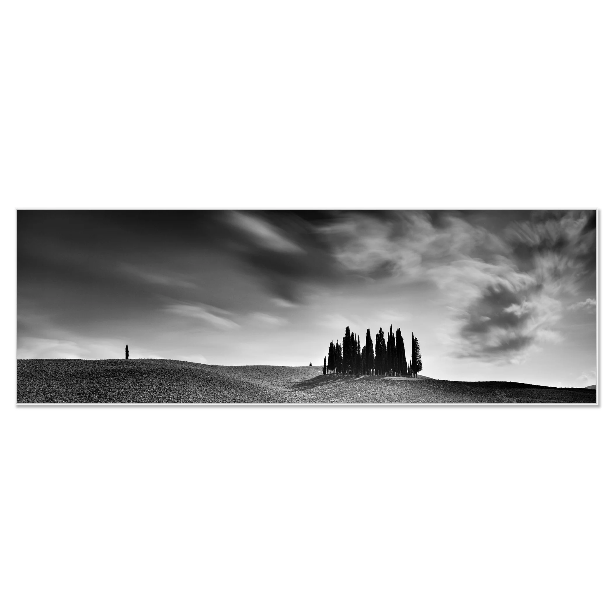 Gerald Berghammer - Black and white landscape panorama photography. Rolling hills and a small group of tall, slender cypress trees on a hill, with a cloudy sky. Chromaluxe framed white