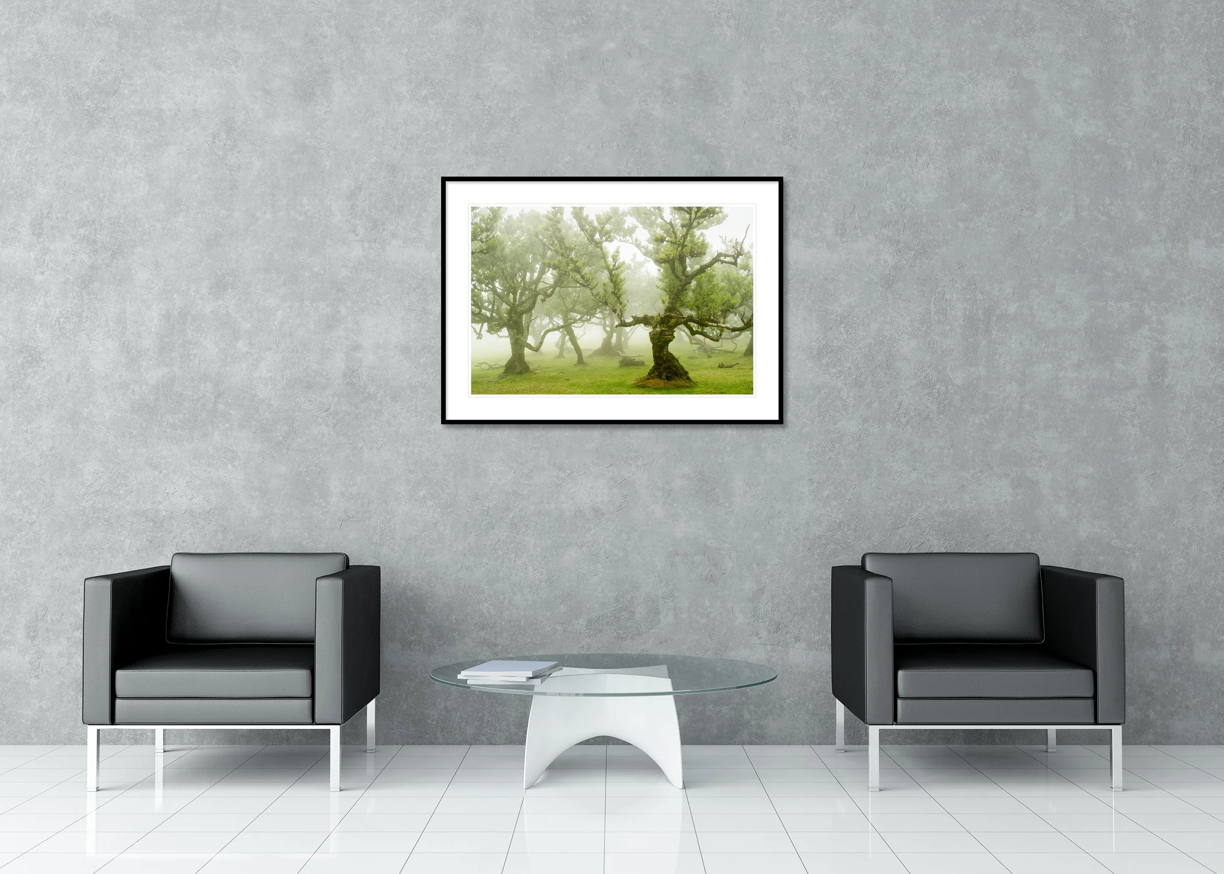 Soft morning fog drifting through a misty forest of ancient moss-covered trees and twisted branches, archival pigment print in a classic frame with mount