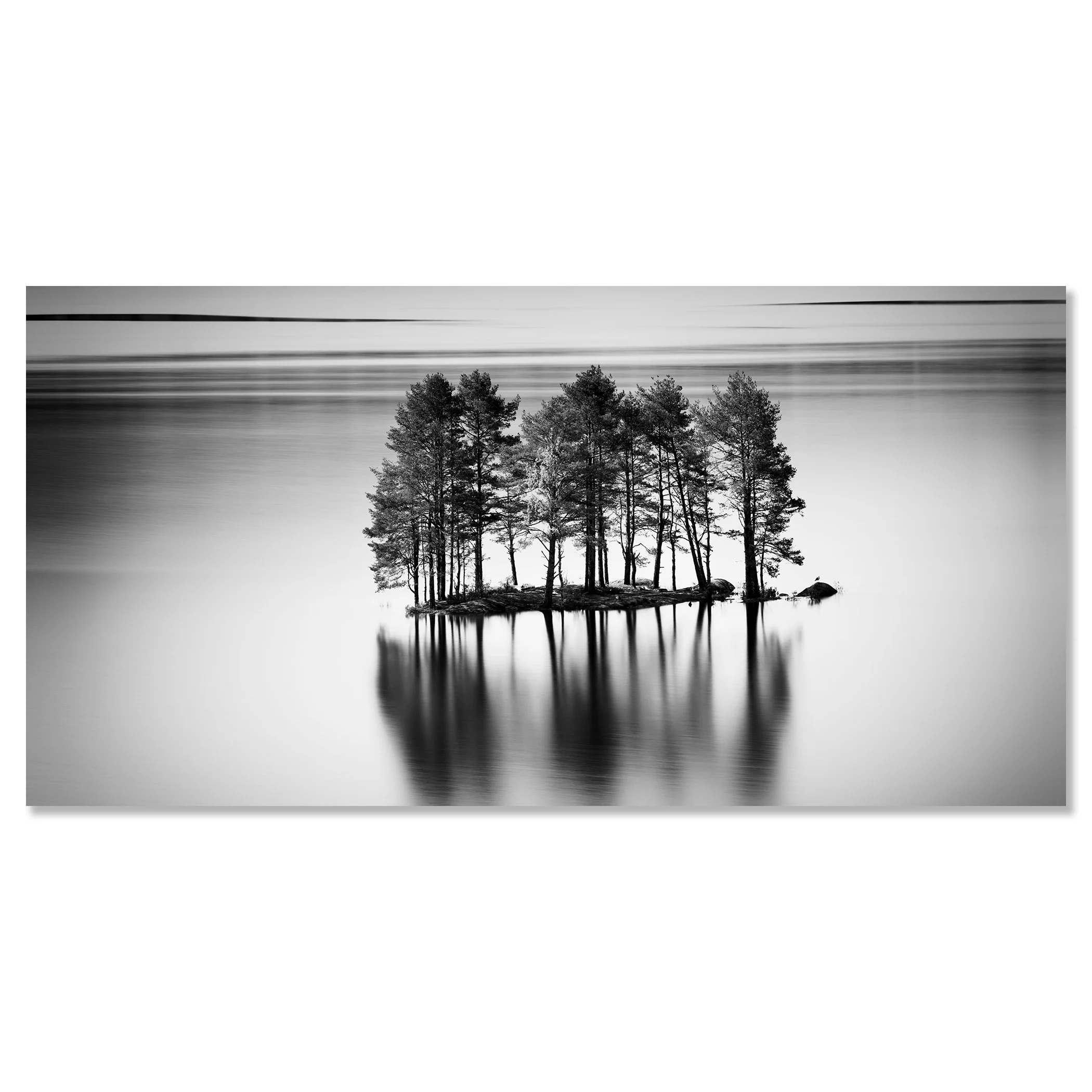 Monochrome fine art image of trees standing on a small island with soft water reflections – dibond frameless