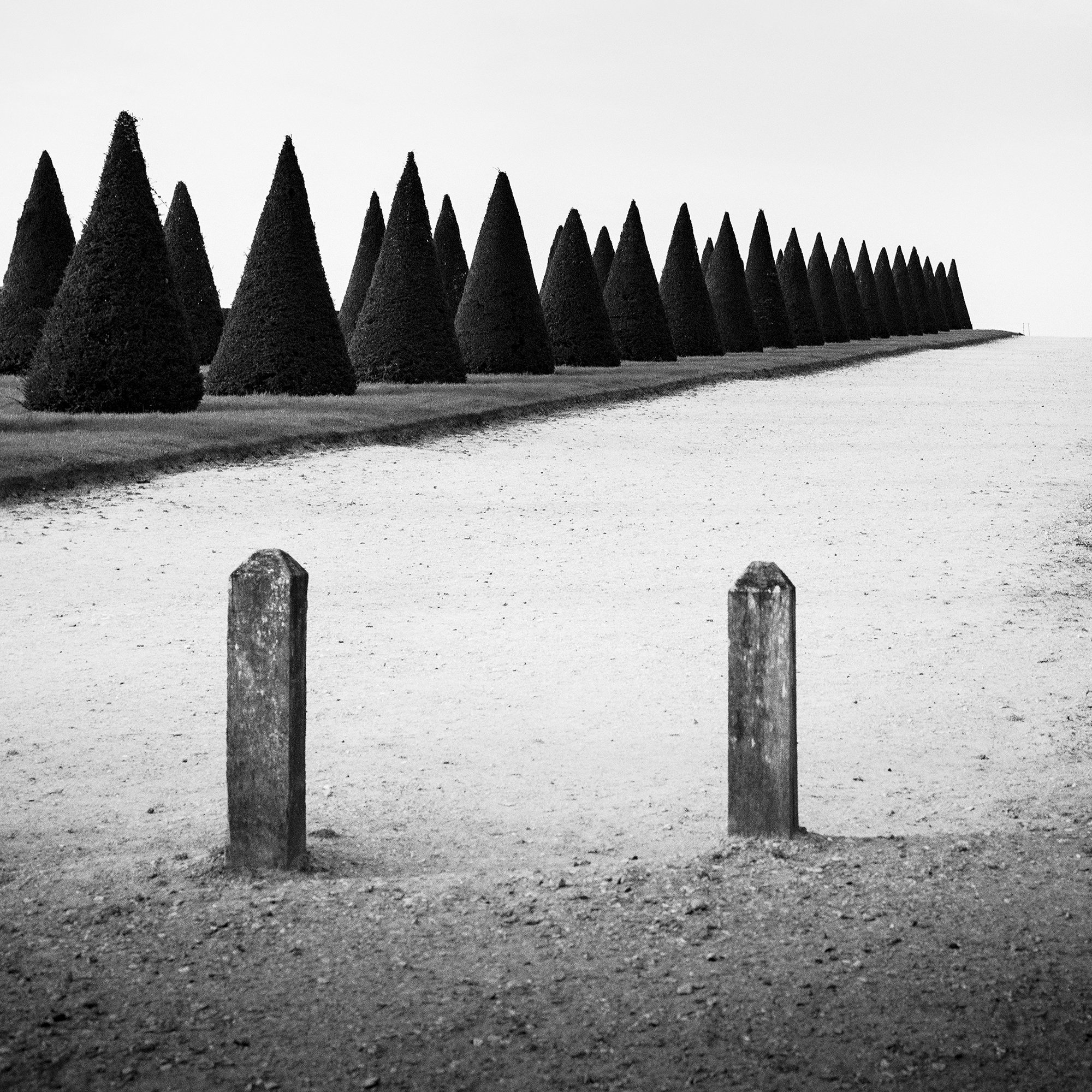 © 2017 Gerald Berghammer - Black and white landscape photography. Statue of a person along a tall hedge, with a row of trimmed cone-shaped trees. Print detail 1