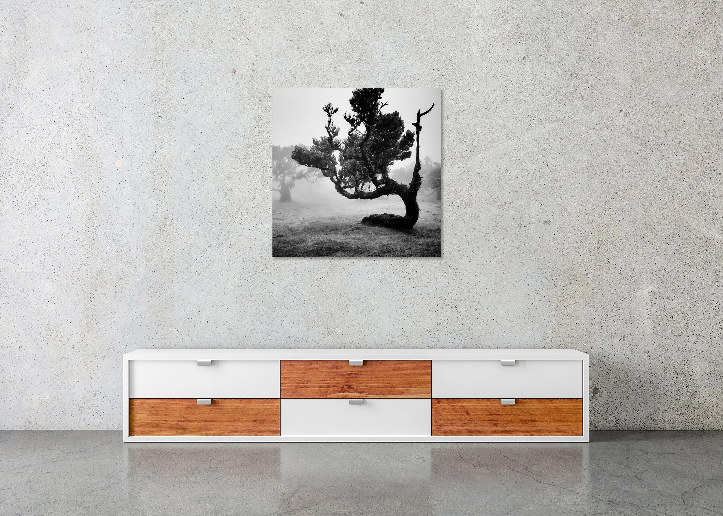 Moody monochrome forest landscape with twisted tree silhouette and misty background, ChromaLuxe metal print, frameless wall art.