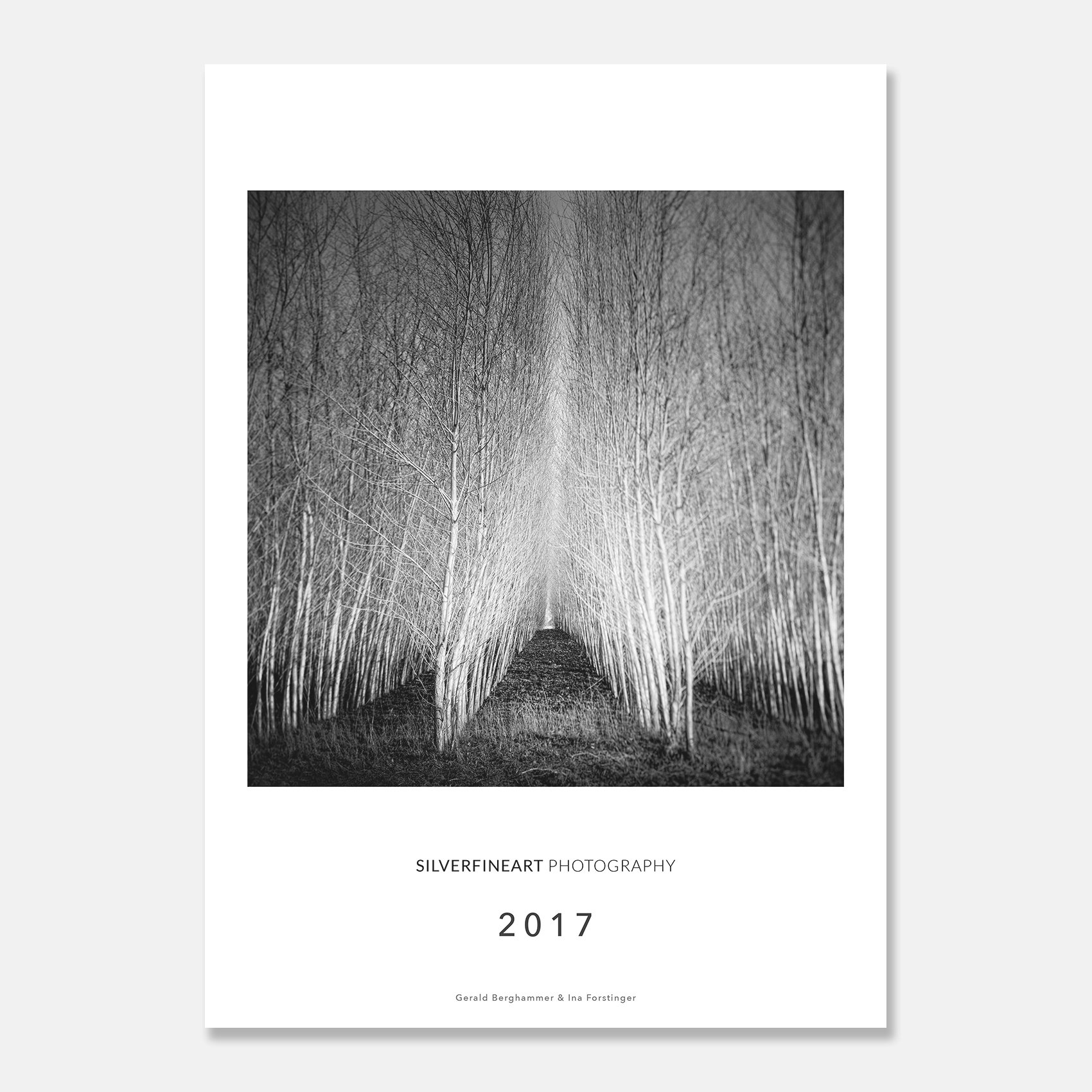 Landscape Photo Calendar 2017