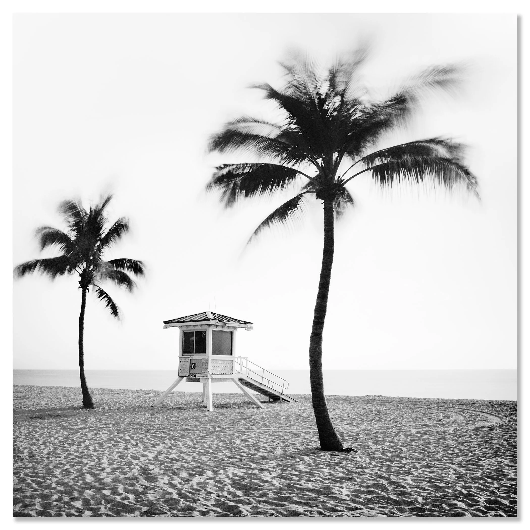 Fort Lauderdale Beach, Study 4 by Gerald Berghammer, frameless black-and-white photograph mounted on aluminium Dibond.