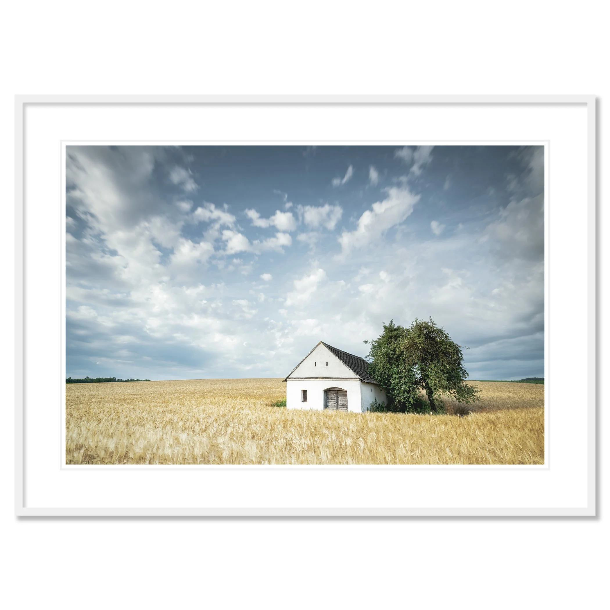 © 2021 Gerald Berghammer - Color Fine Art Landscape Photography. Small wine press in a golden cornfield, beside a large green tree under a partly cloudy sky. Classic framed white