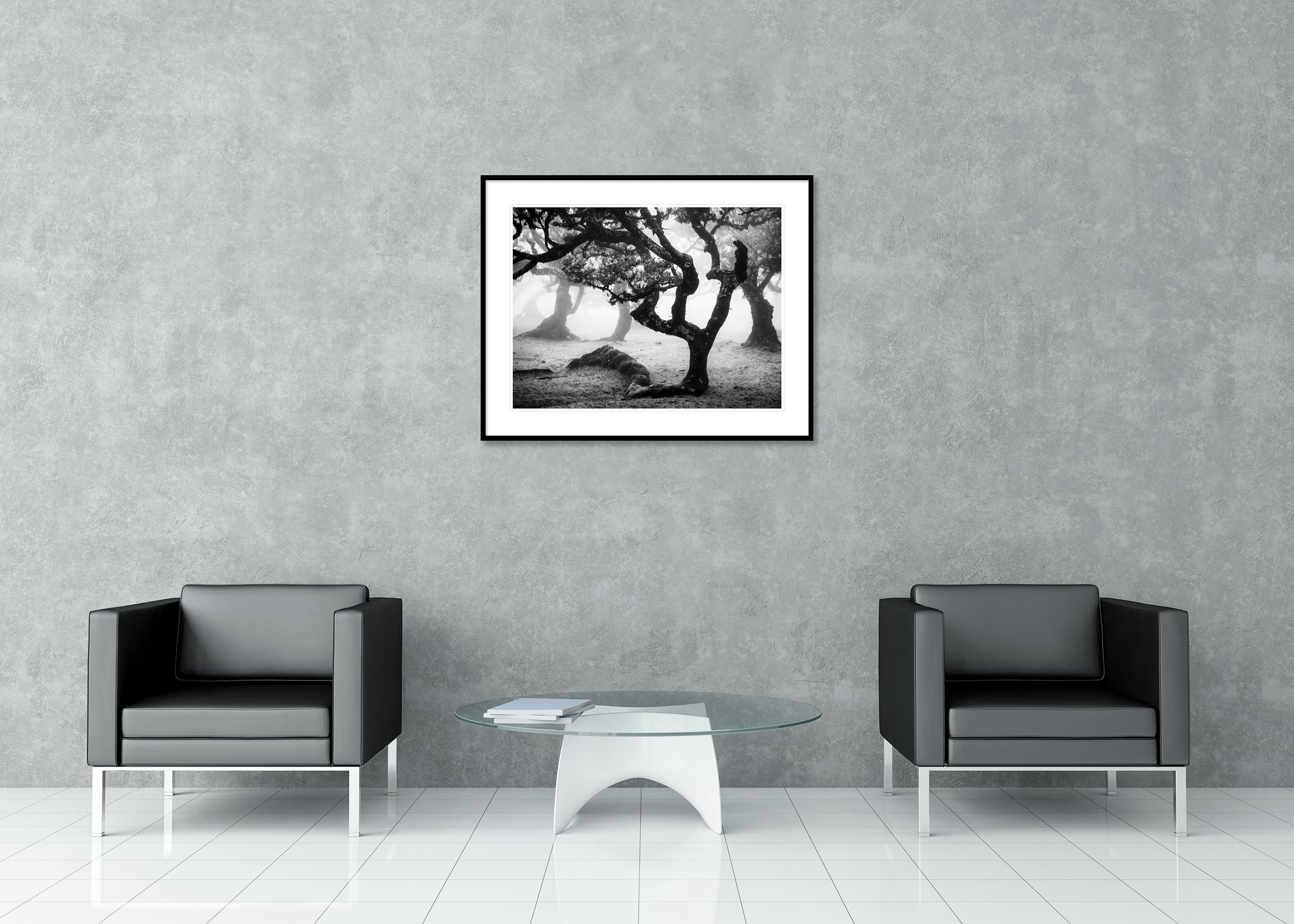 Black and white photo of ancient twisted trees in a misty forest, archival pigment print in a classic frame with a mount.