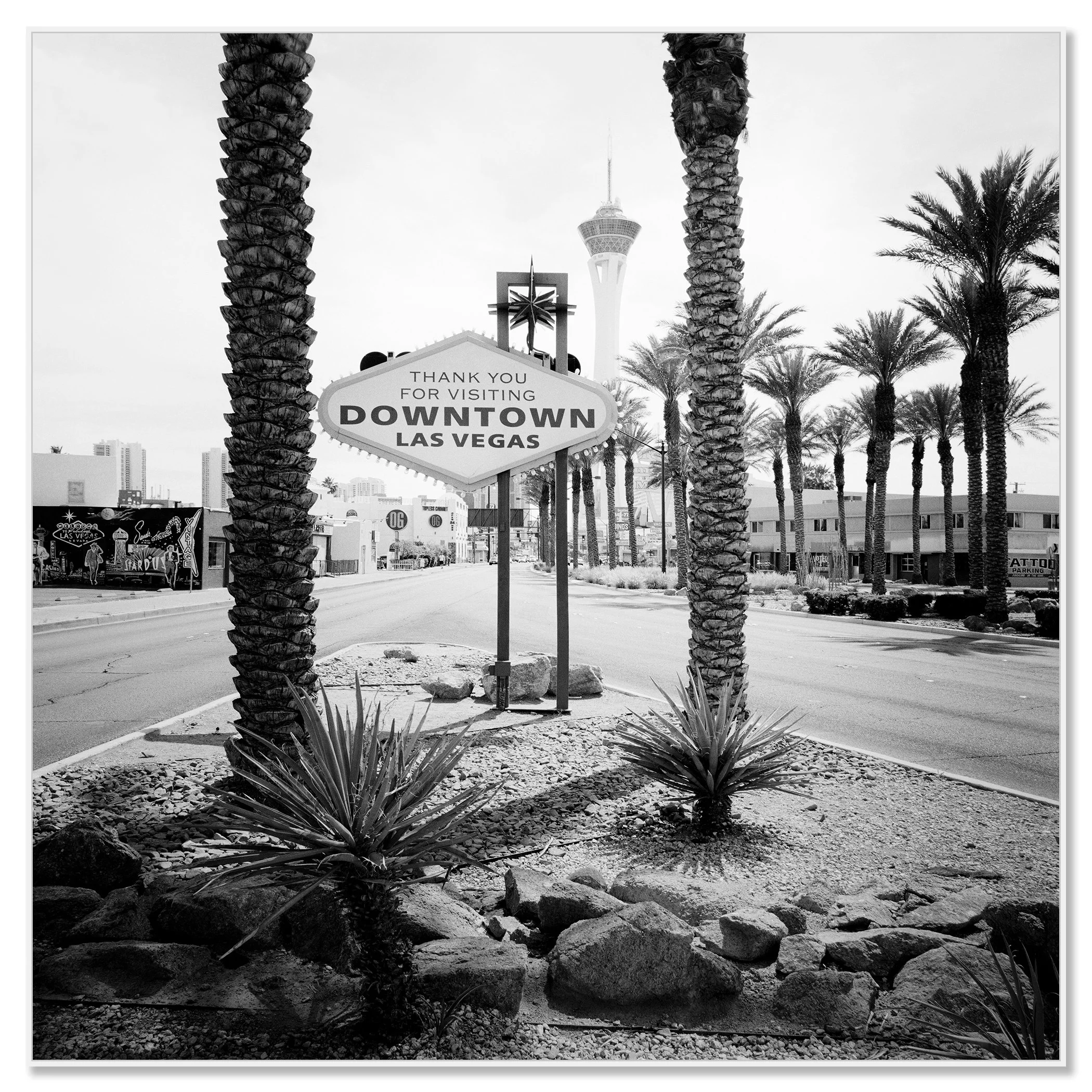 Gerald Berghammer - Black and white desert cityscape photography. Las Vegas Welcome Sign, with palm trees lining the street and the Stratosphere Tower. Chromaluxe framed white